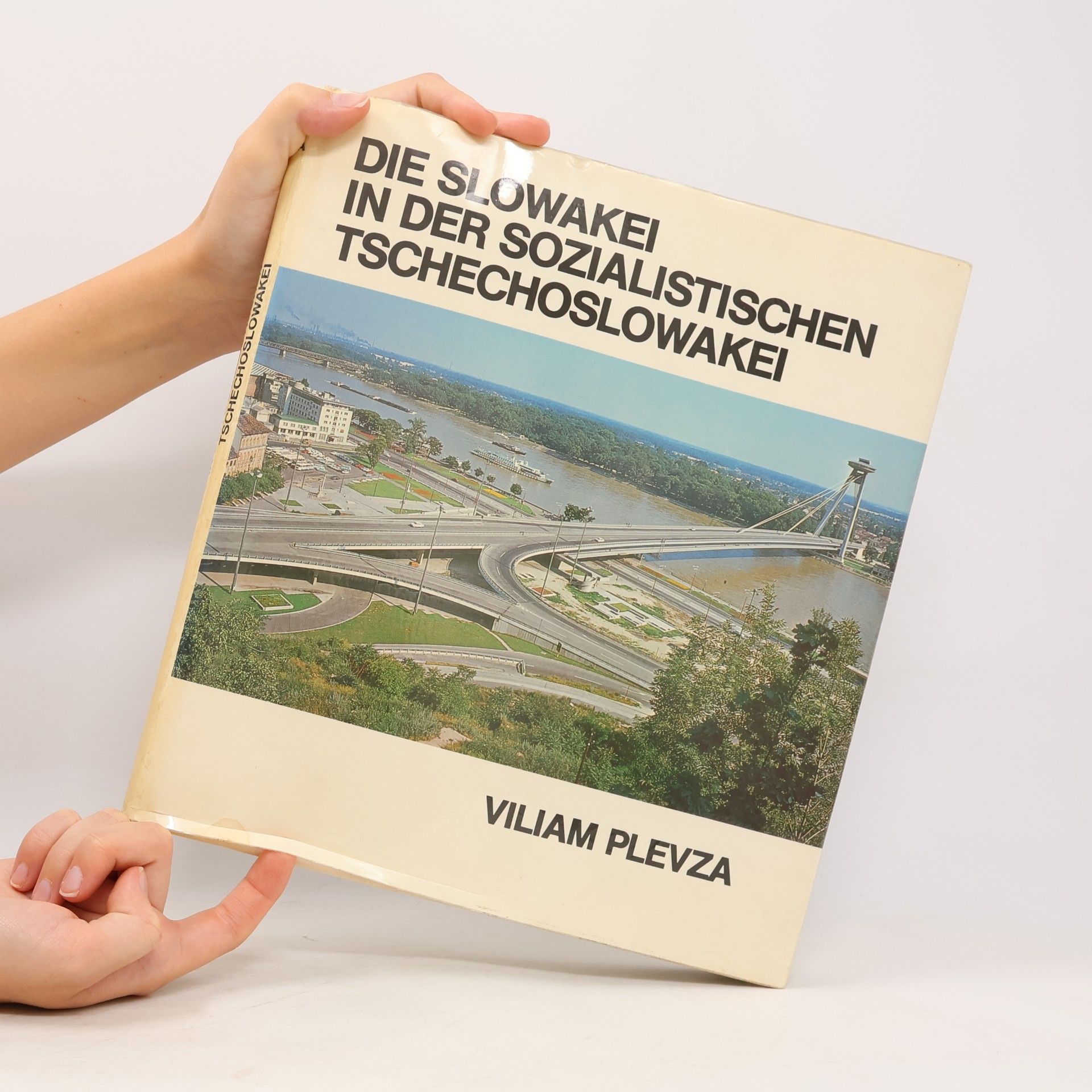 Viliam Plevza Die Slowakei in der sozialistischen Tschechoslowakei