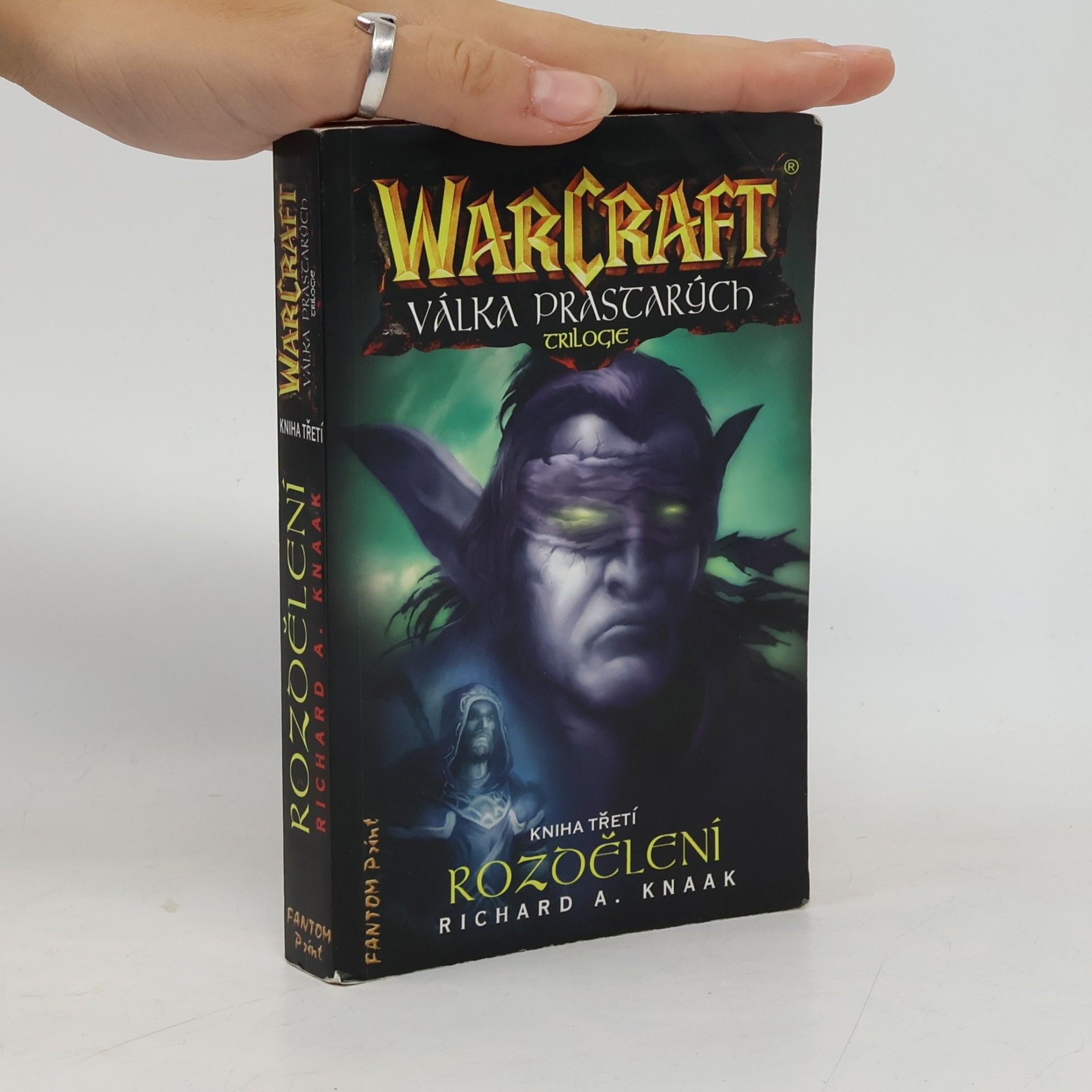 Richard A. Knaak WarCraft. Válka Prastarých 3. Rozdělení