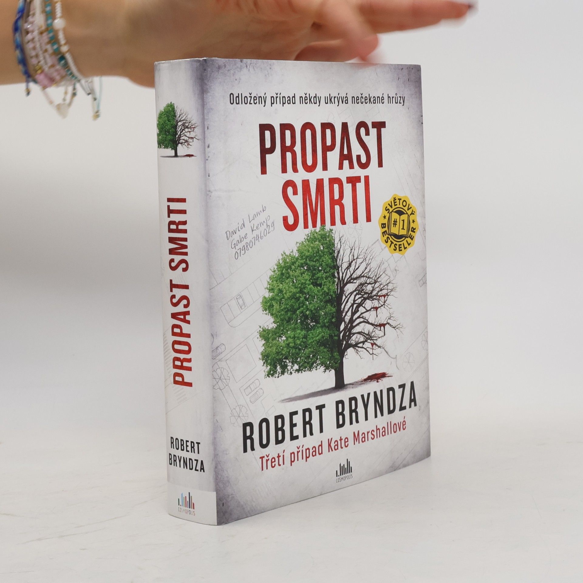 Robert Bryndza Propast smrti
