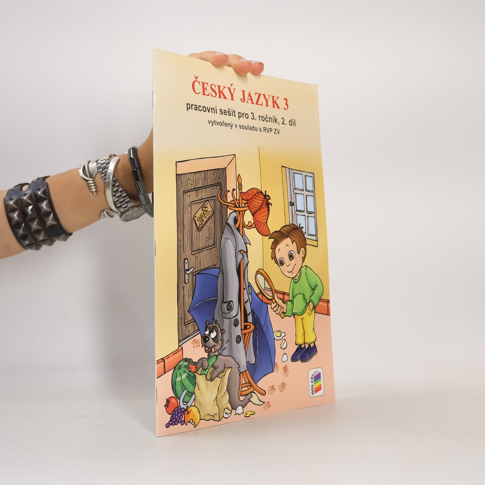 Český jazyk 3. Pracovní sešit pro 3. ročník. 2. díl