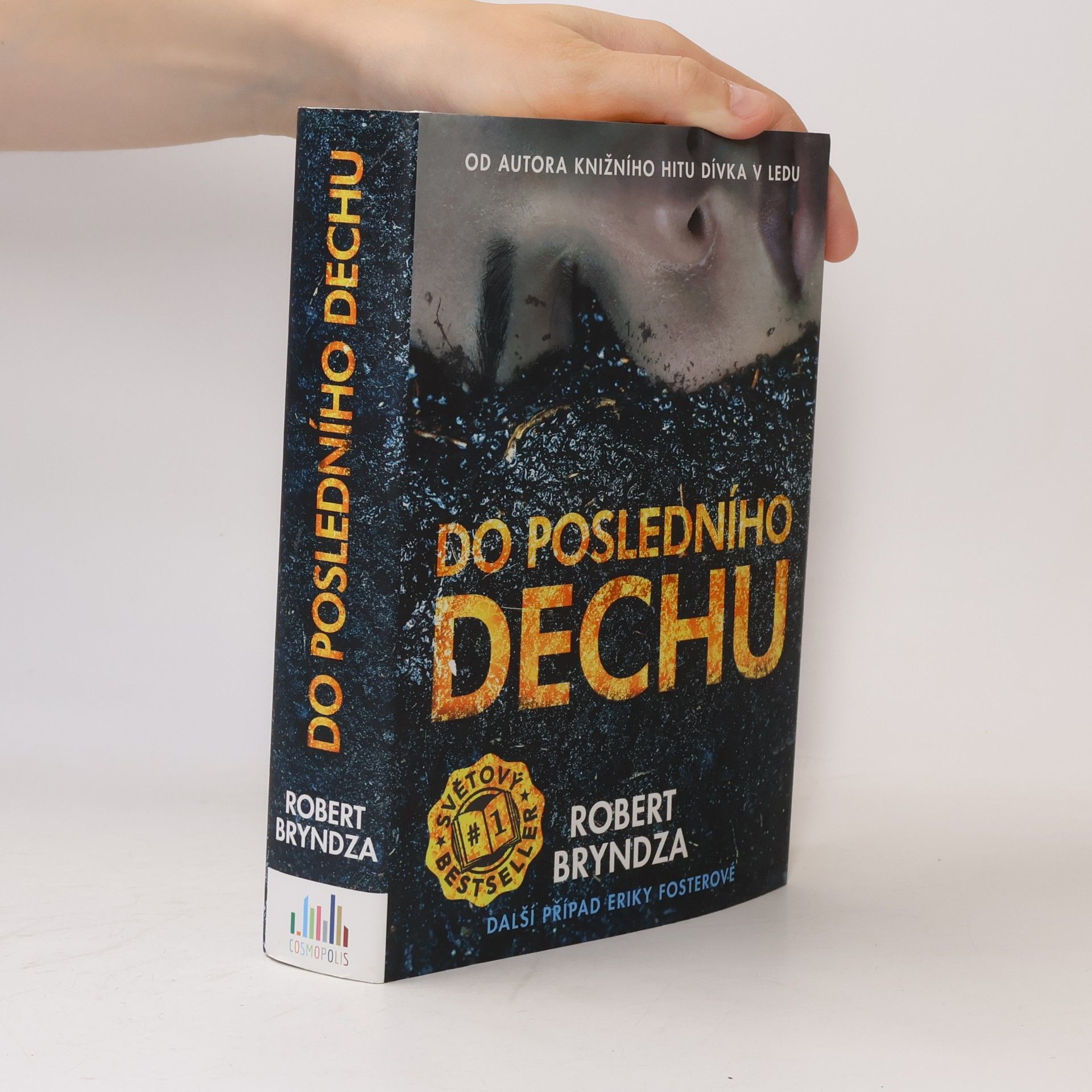 Robert Bryndza Do posledního dechu