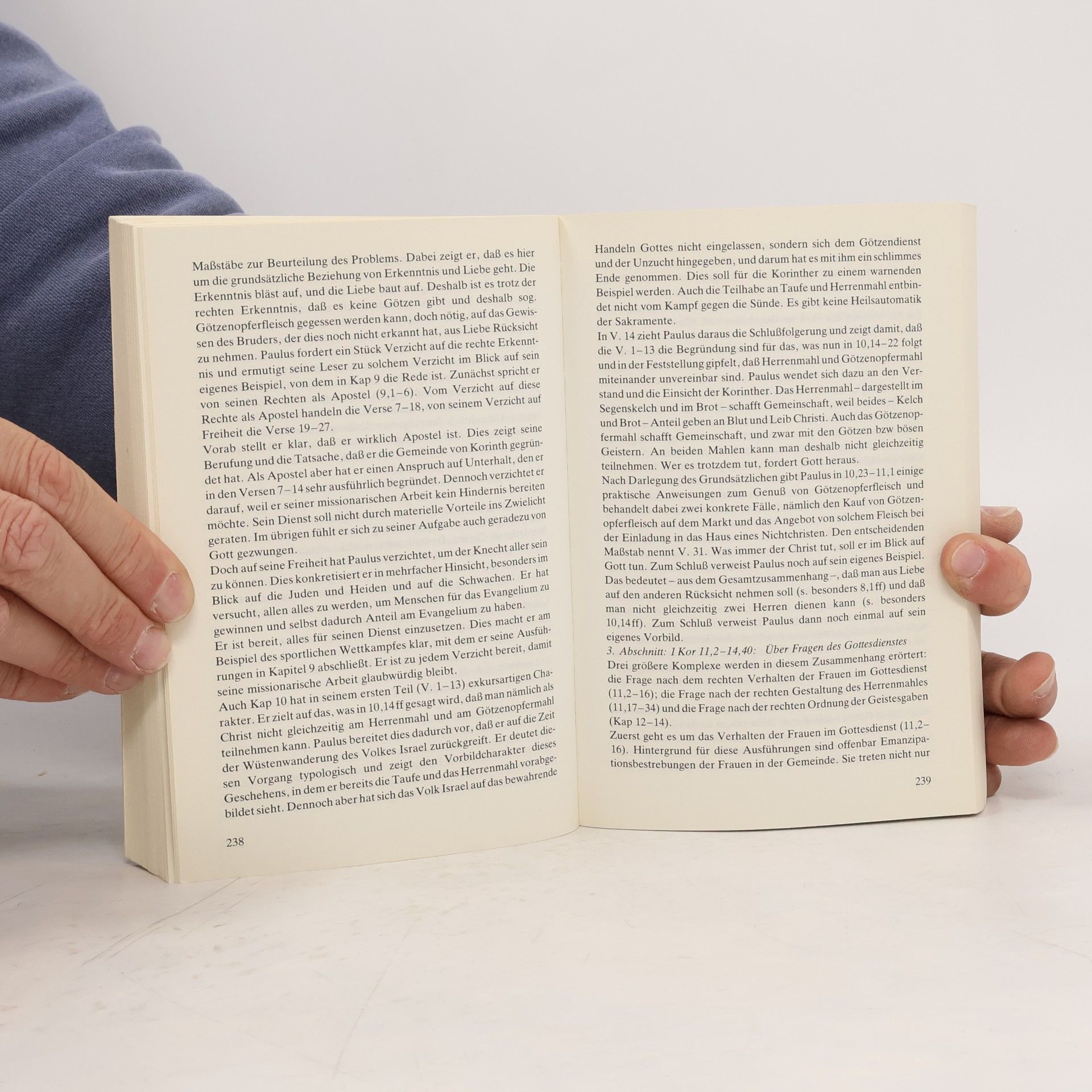 Dietrich Mannsperger Bibel · Kirche · Gemeinde - 19: Das Neue Testament verstehen