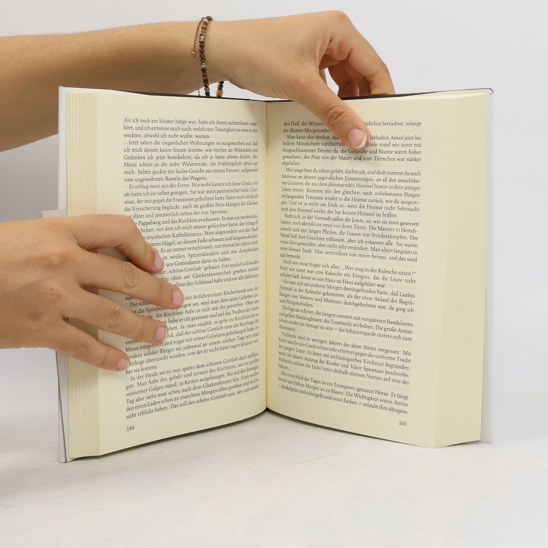 Diethard H. Klein Schlesisches Hausbuch