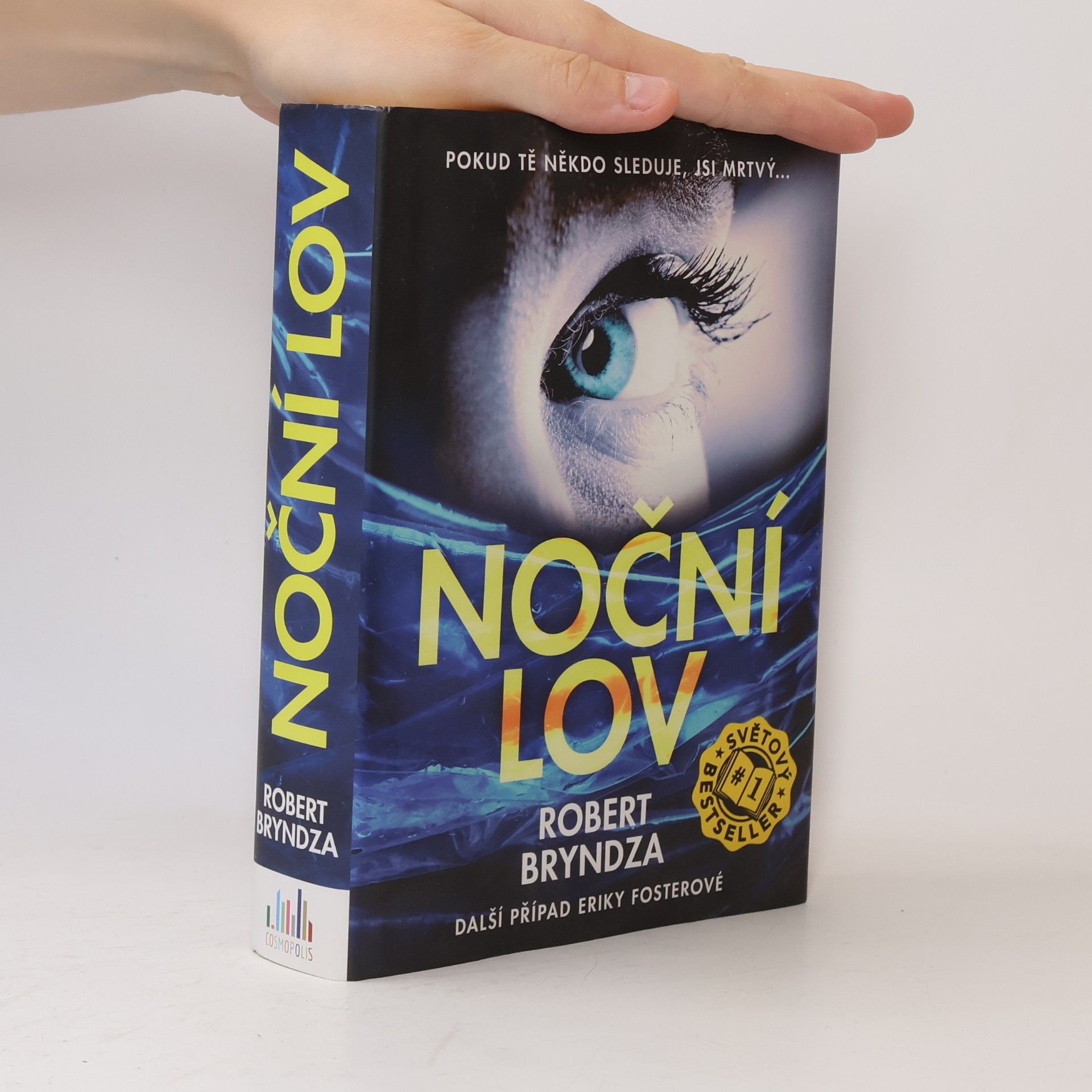 Robert Bryndza Noční lov