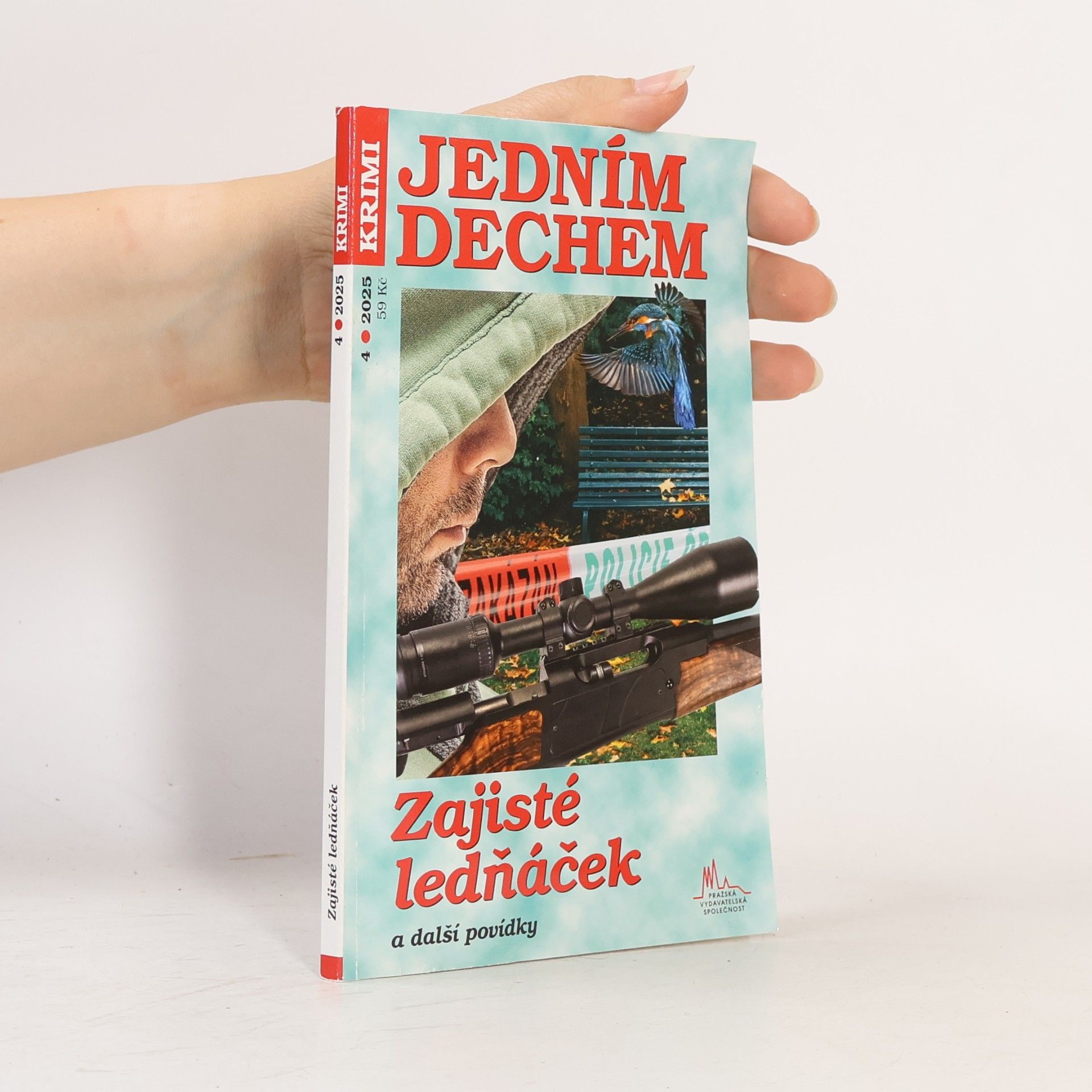 kolektiv Zajisté ledňáček a další povídky