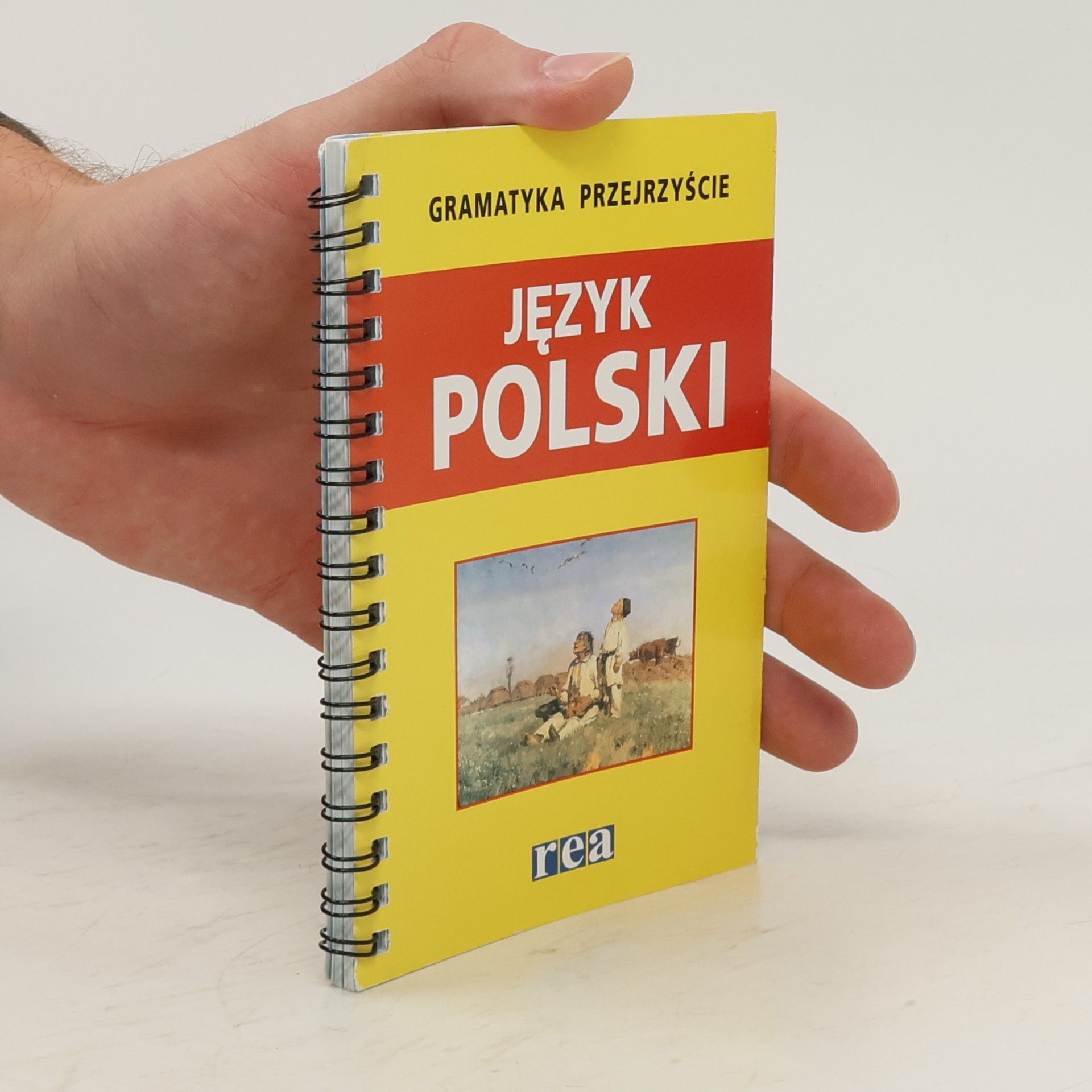 kolektiv Gramatyka przejrzyście Język polski
