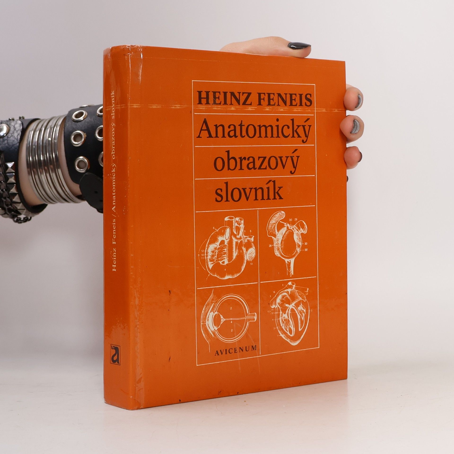 Anatomický obrázkový slovník