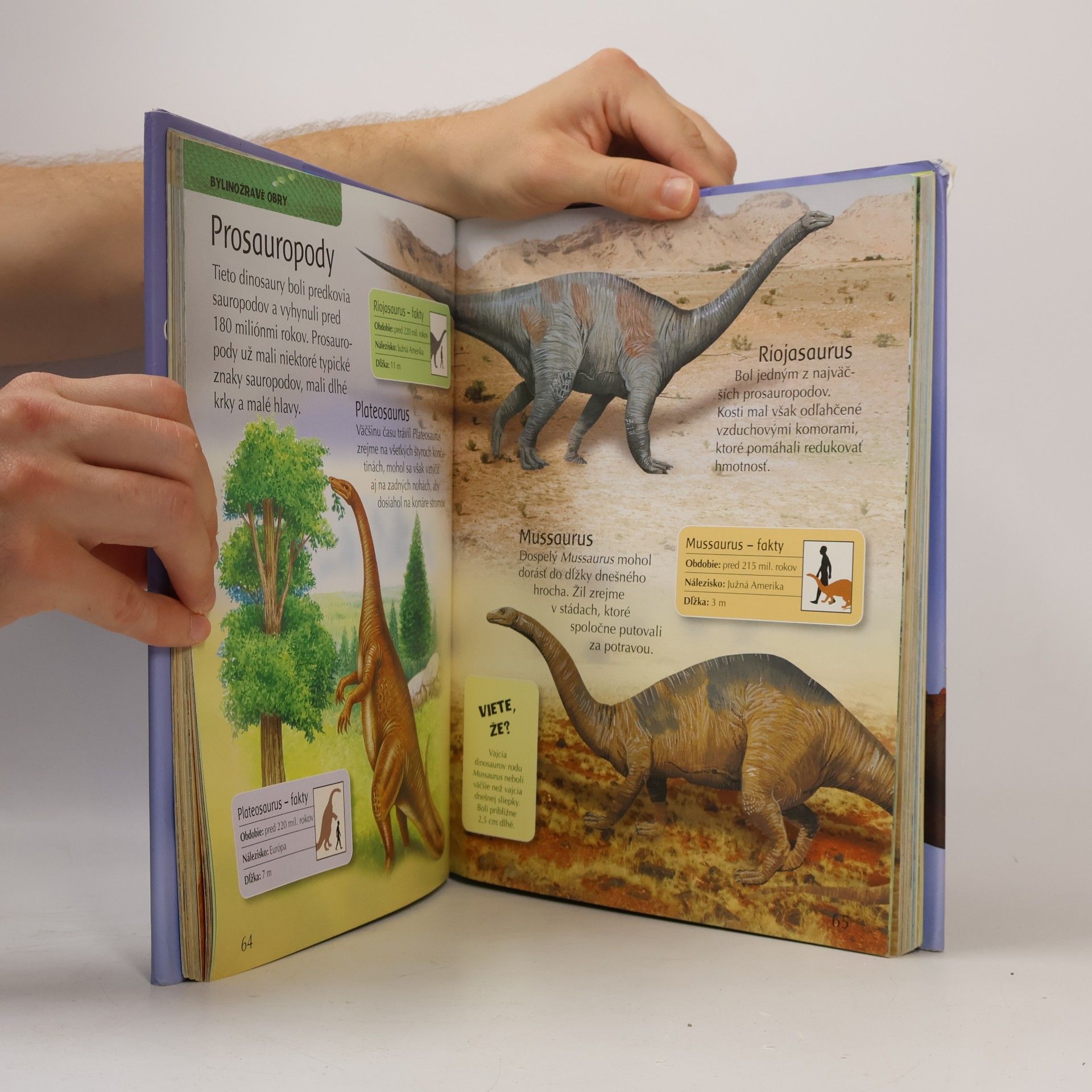 Kolektív autorov Detská encyklopédia dinosaurov