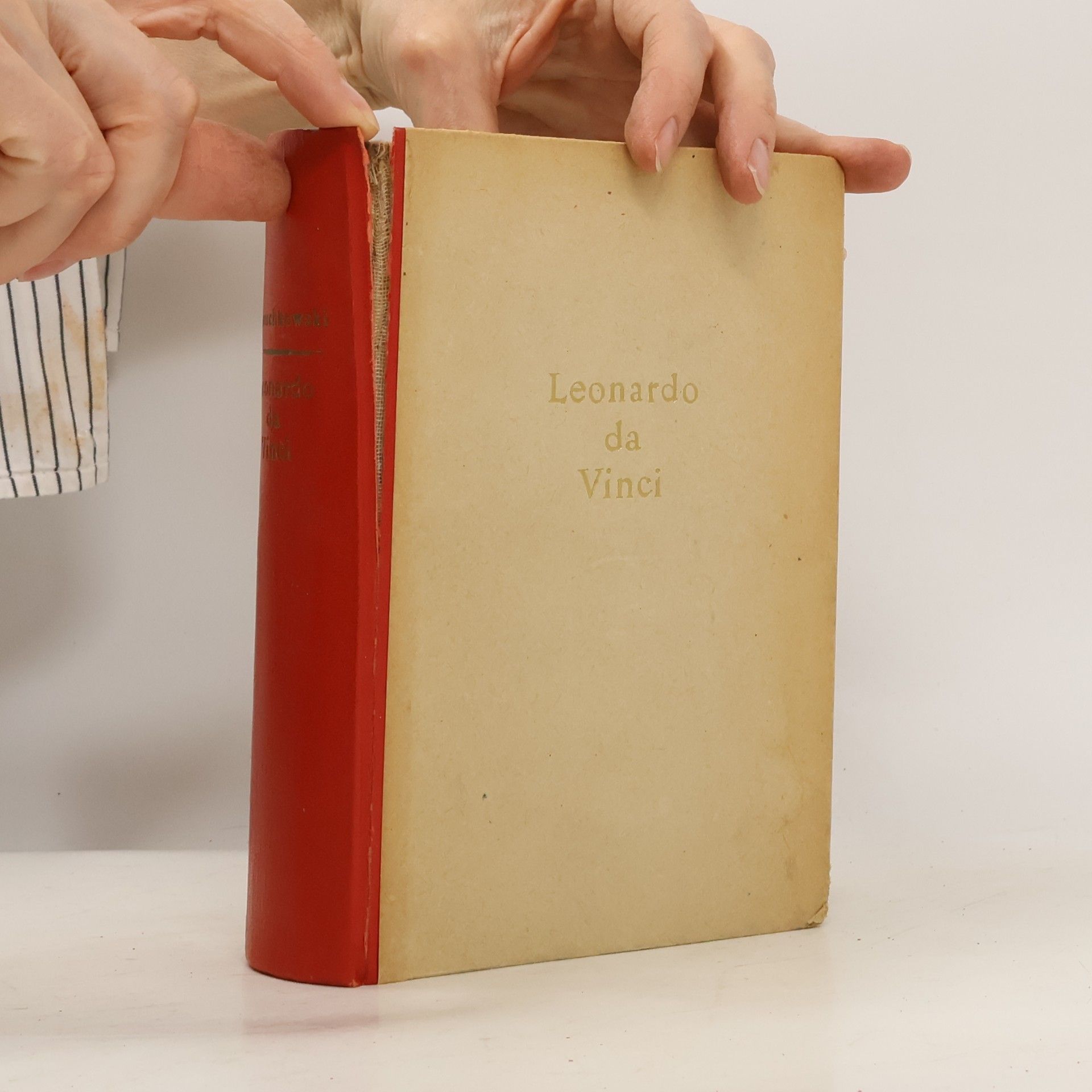 D. S. Mereschkowski Leonardo da Vinci