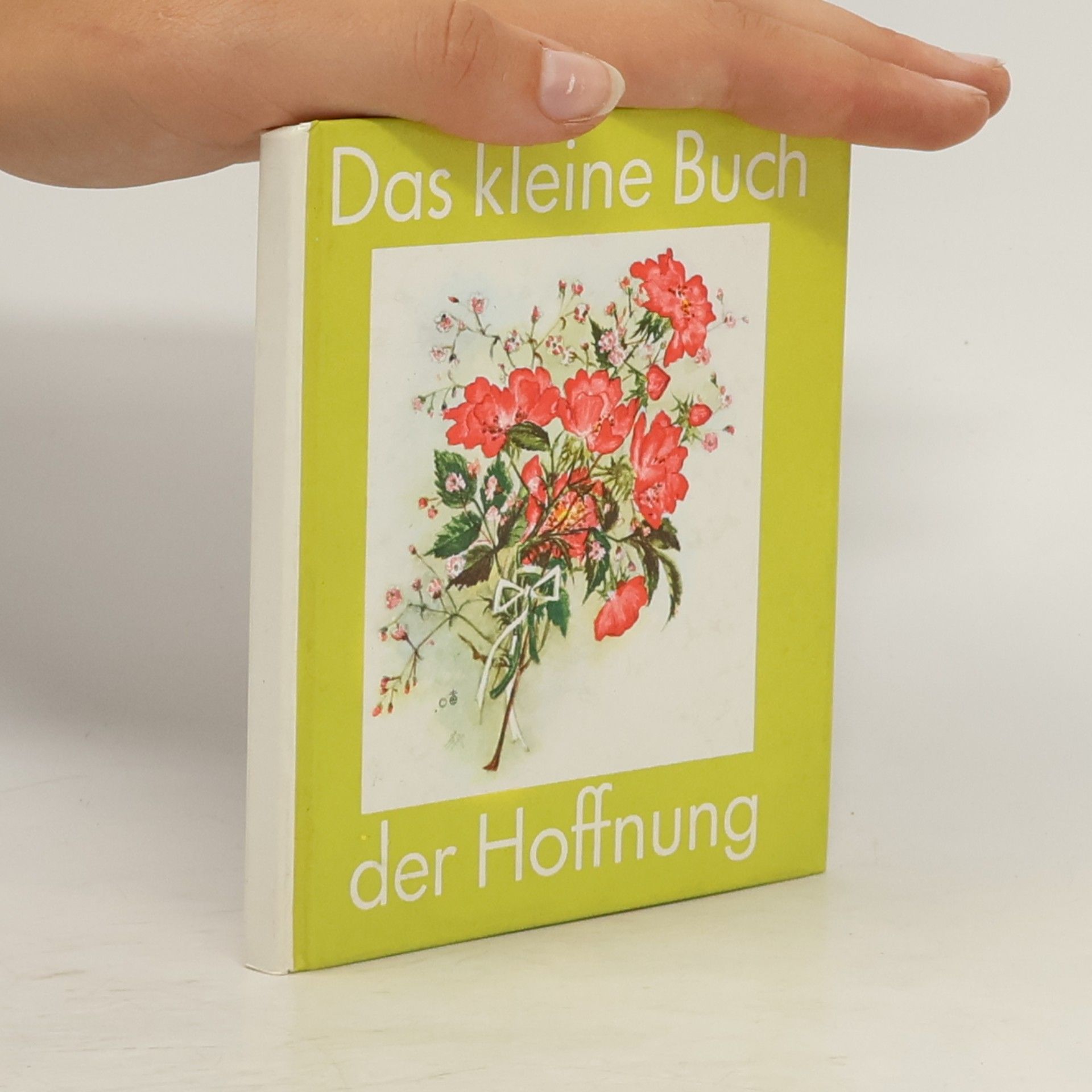 Maria Nels Das kleine Buch der Hoffnung