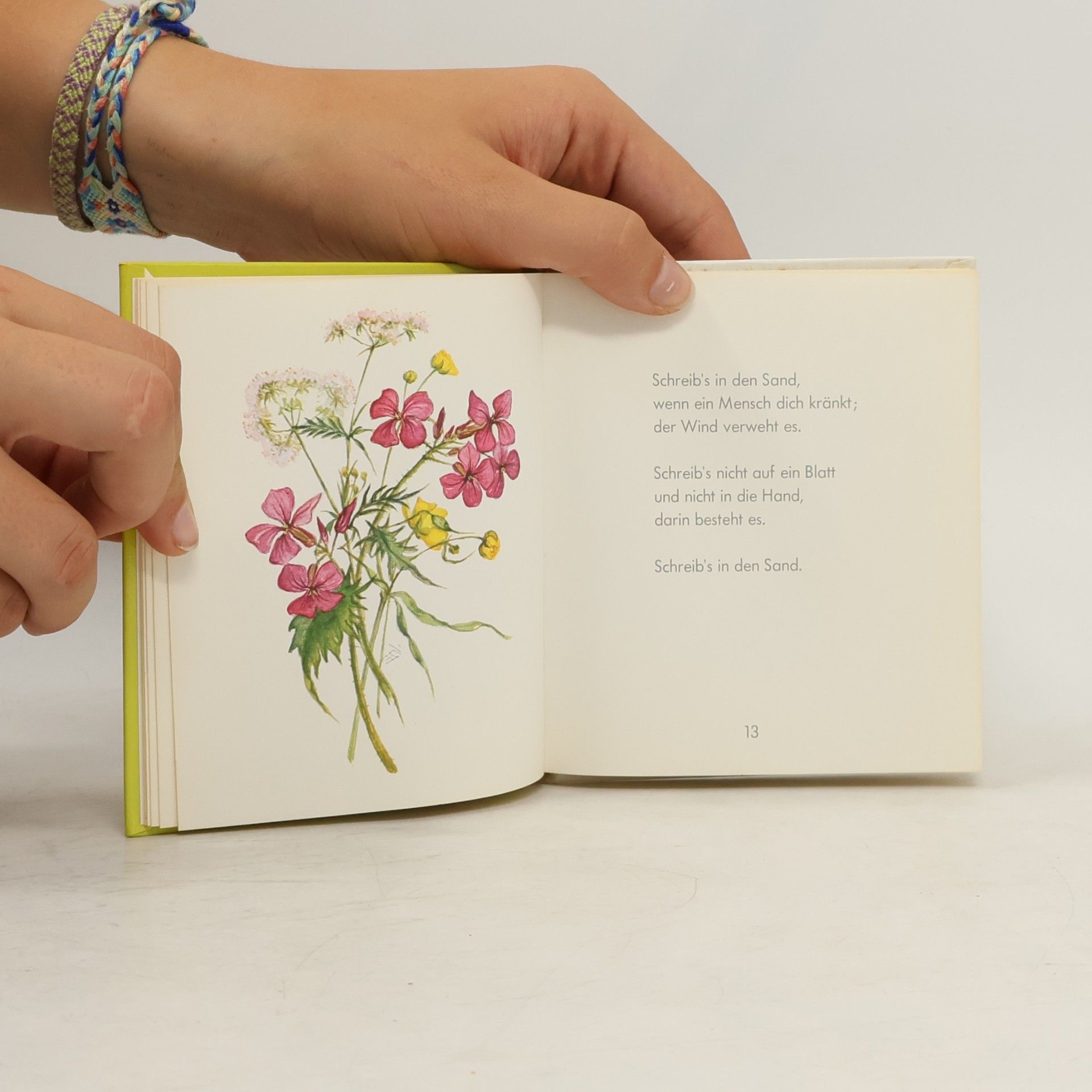 Maria Nels Das kleine Buch der Hoffnung