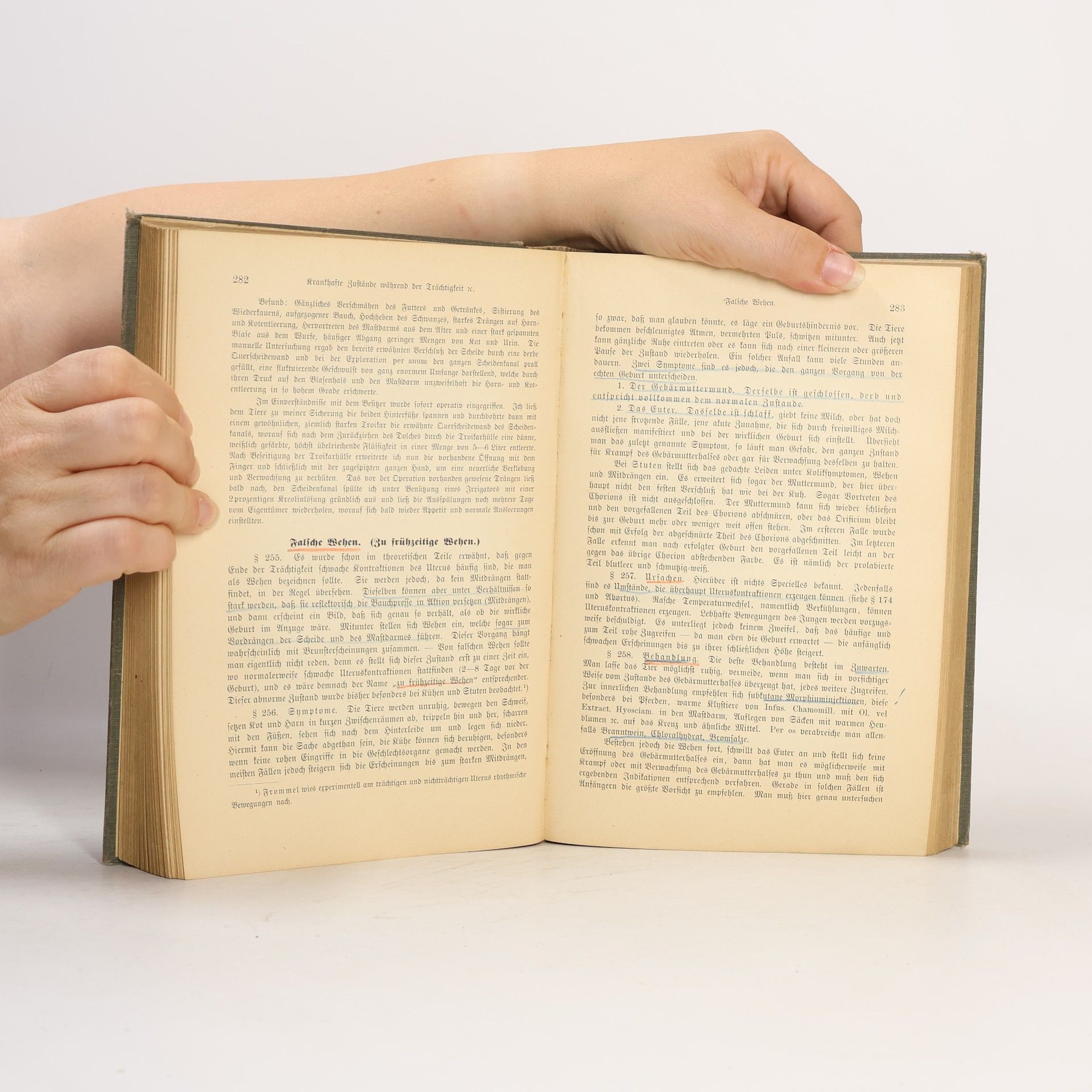 L. Franck Handbuch der tierärztlichen Geburtshilfe