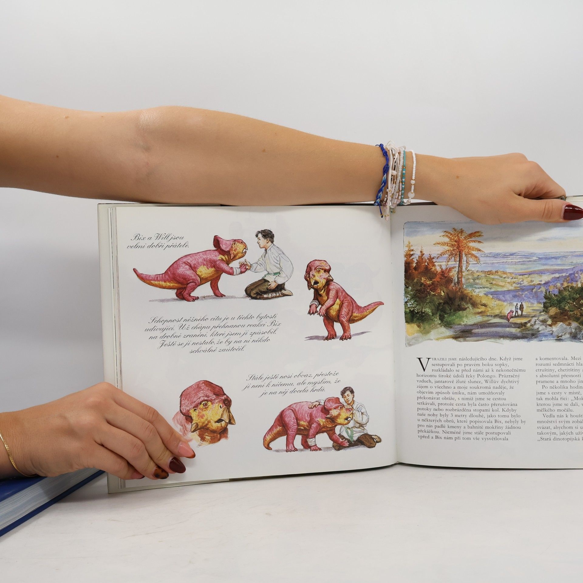 James Gurney Dinotopie: Země mimo prostor a čas