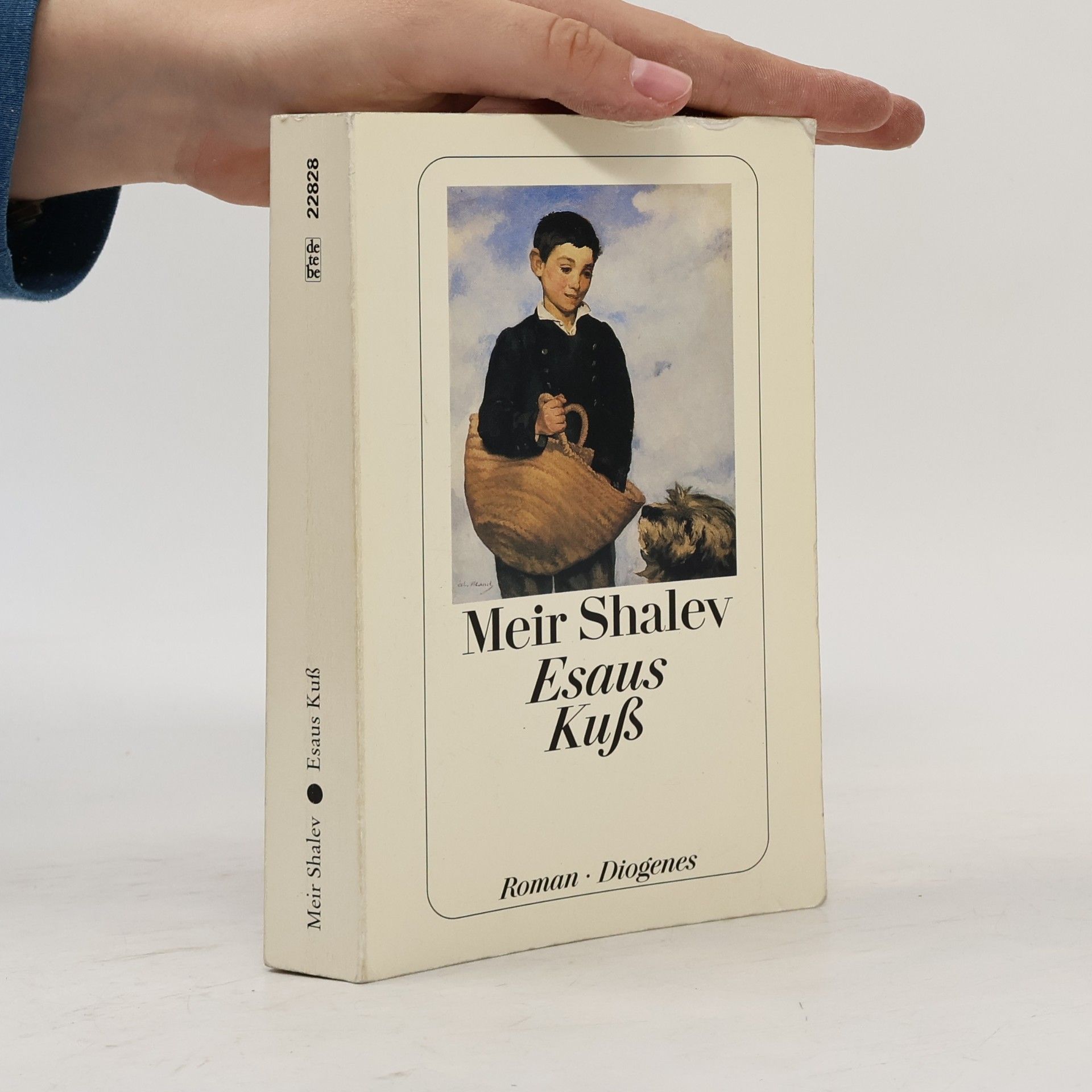 Meir Shalev Esaus Kuß