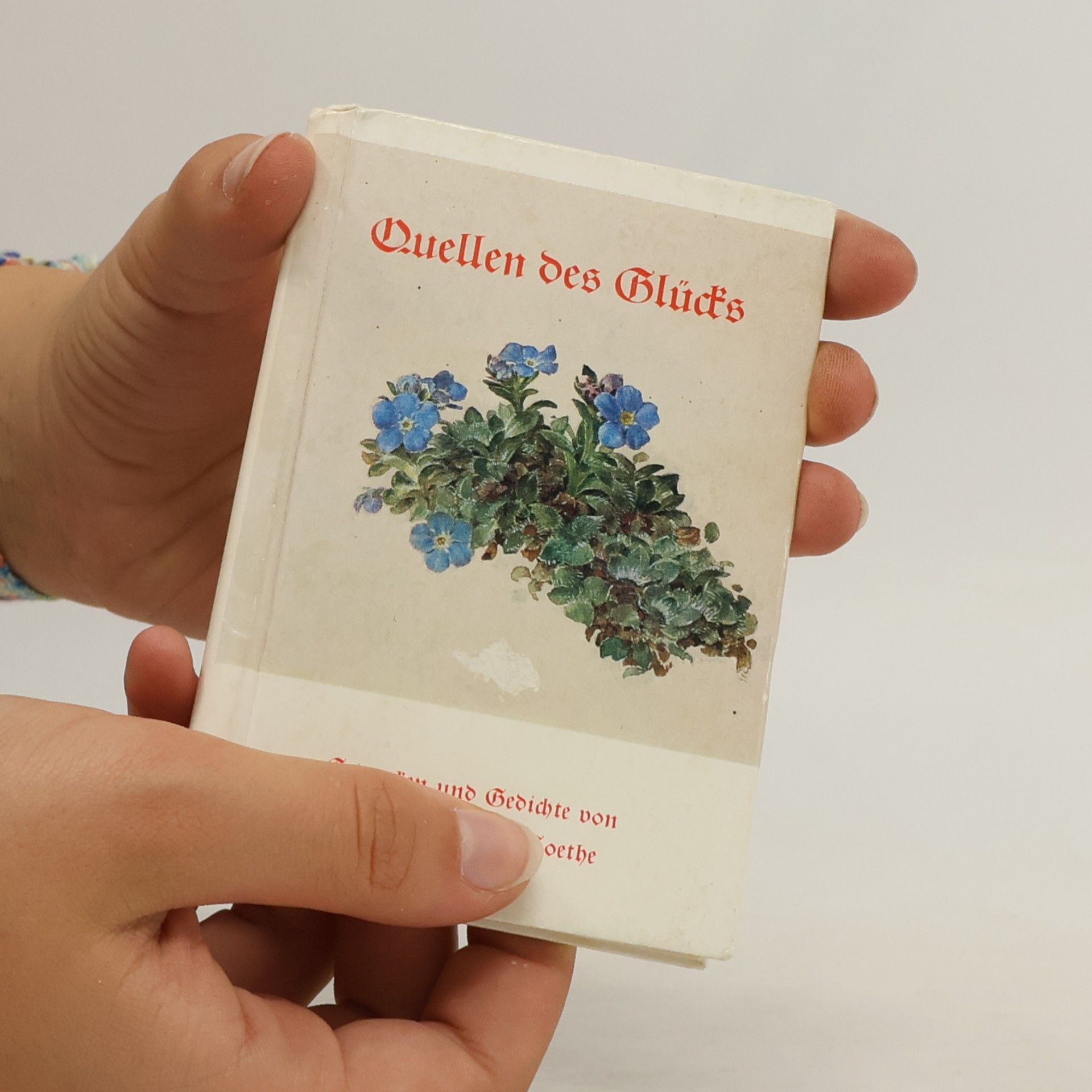 kolektiv Quellen des Glücks