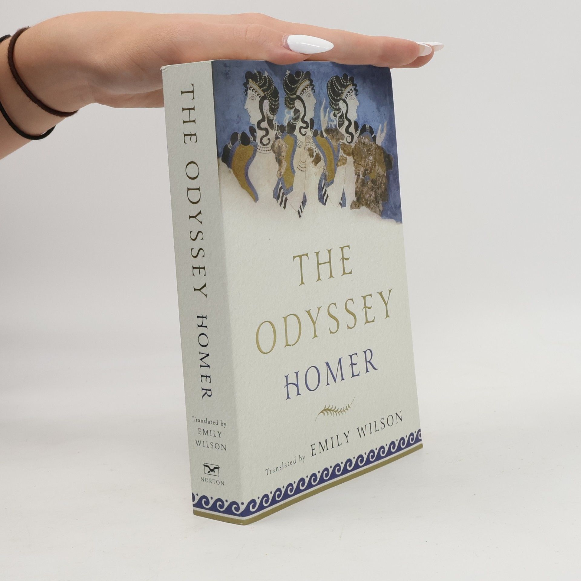 Homér The Odyssey