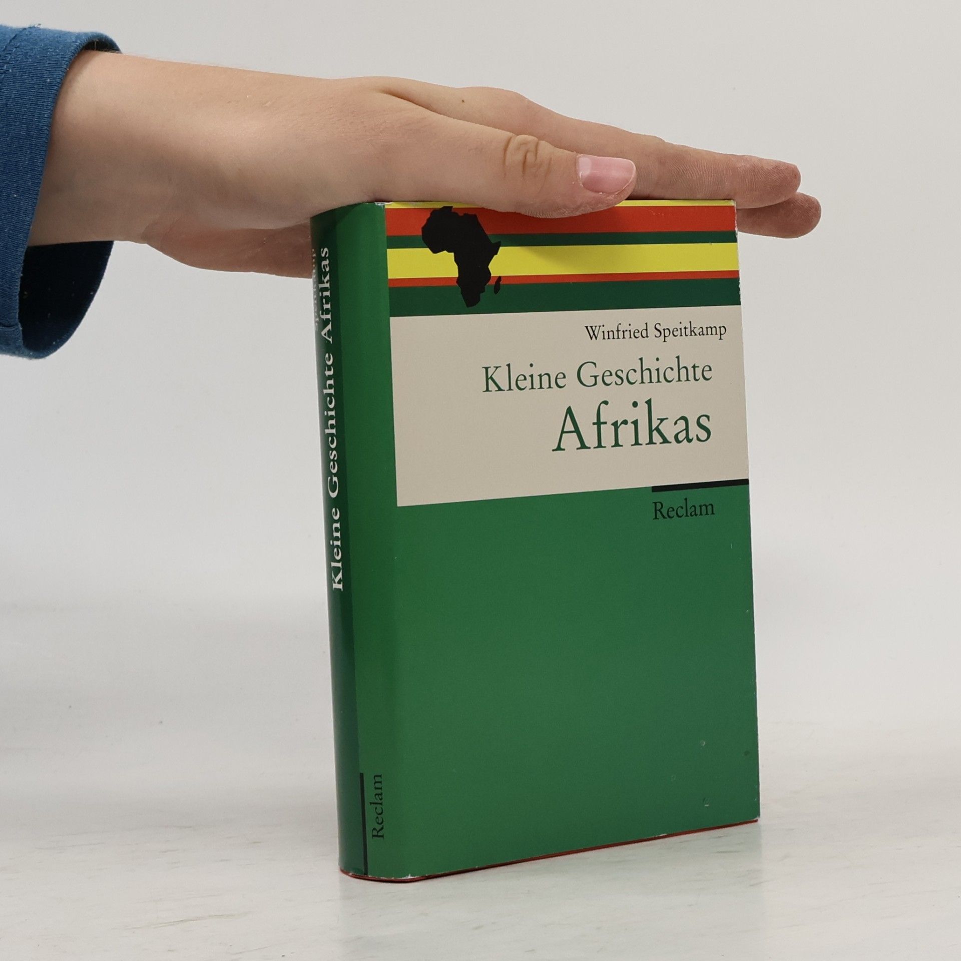 Kleine Geschichte Afrikas