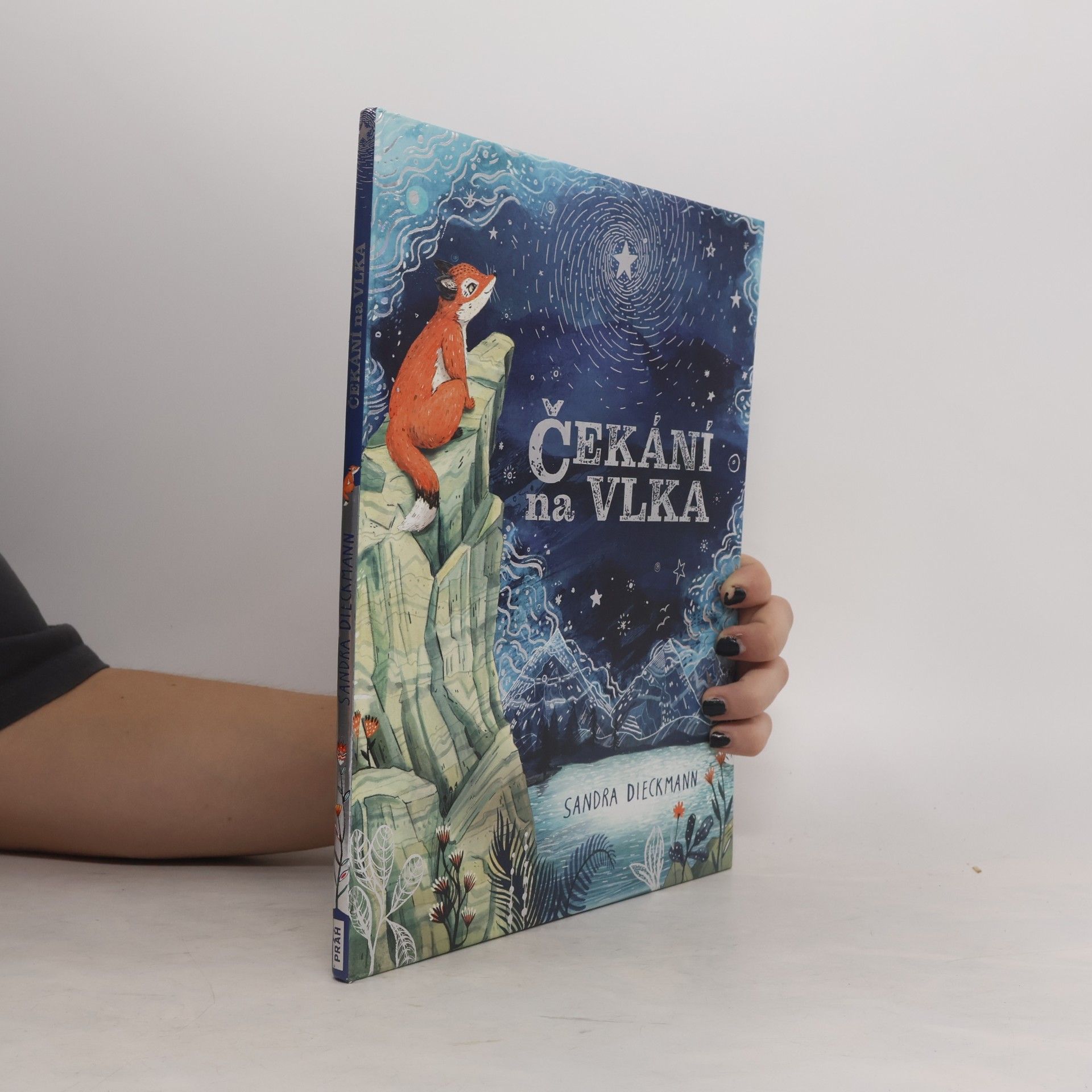 Sandra Dieckmann Čekání na Vlka