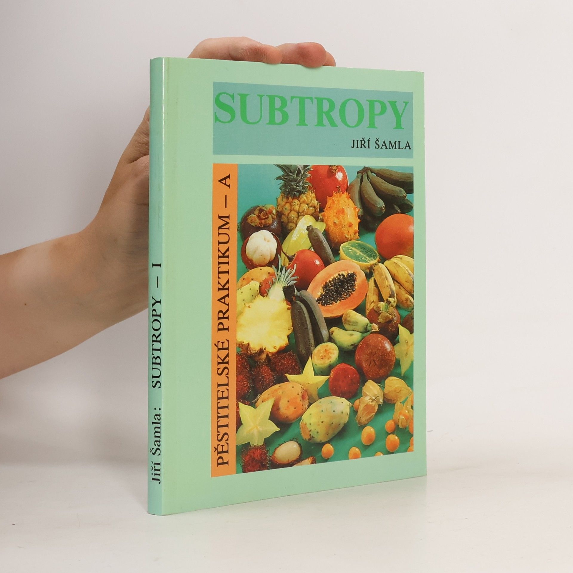 Subtropy I.