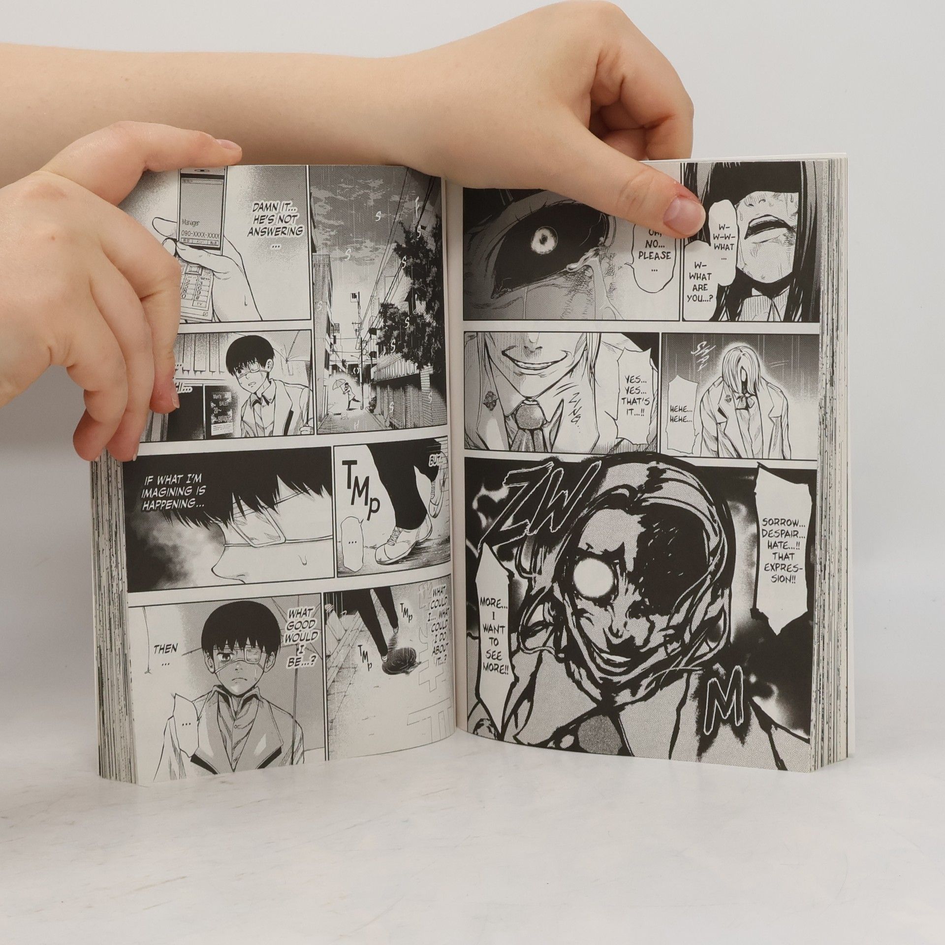Sui Išida Tokyo ghoul: Volume 2