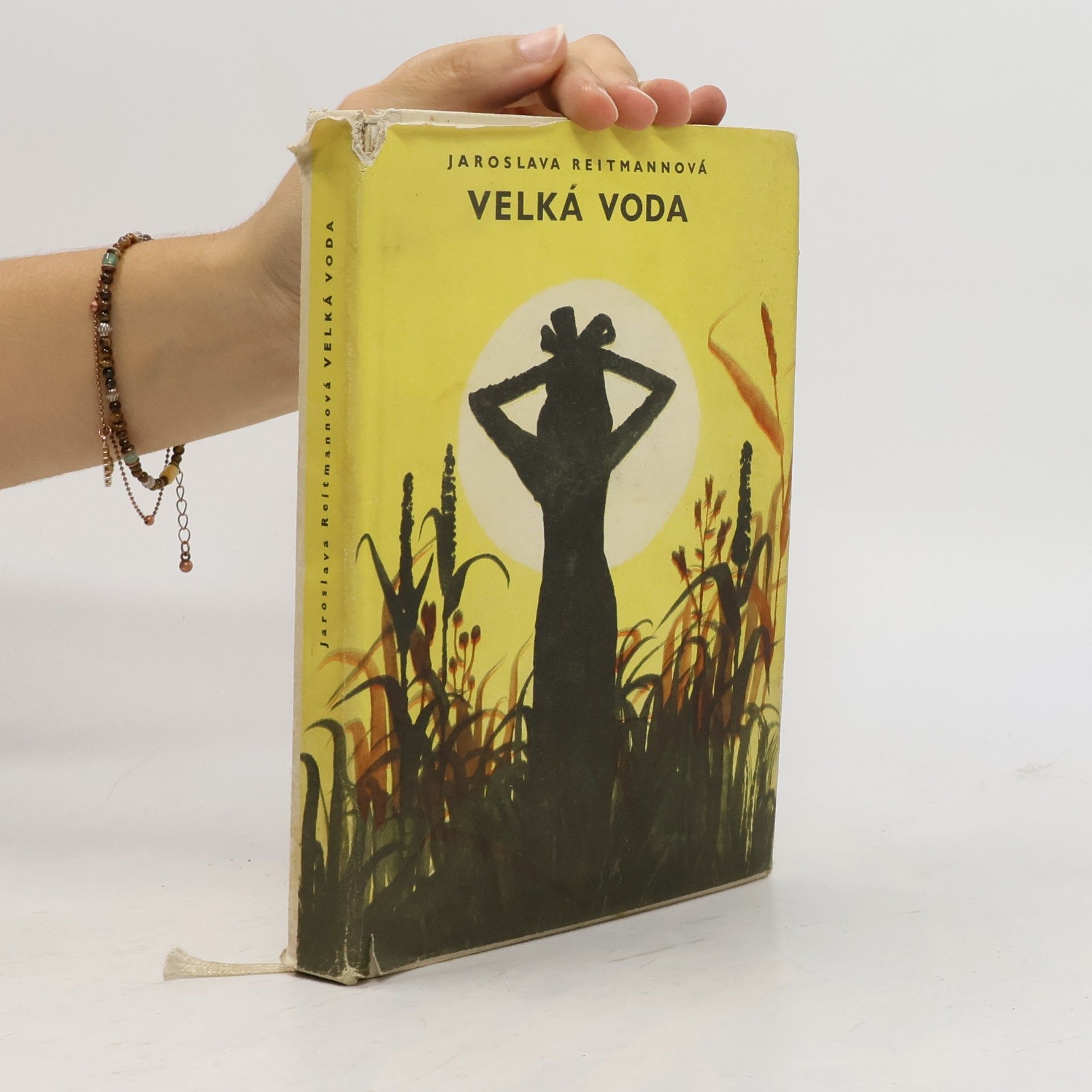 Jaroslava Reitmannová Velká voda