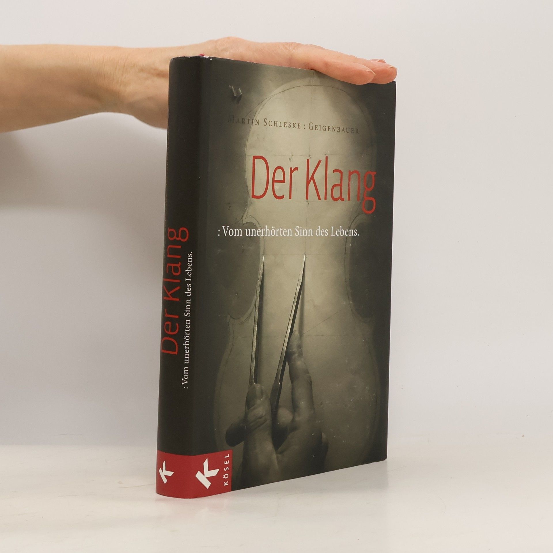 Martin Schleske Der Klang
