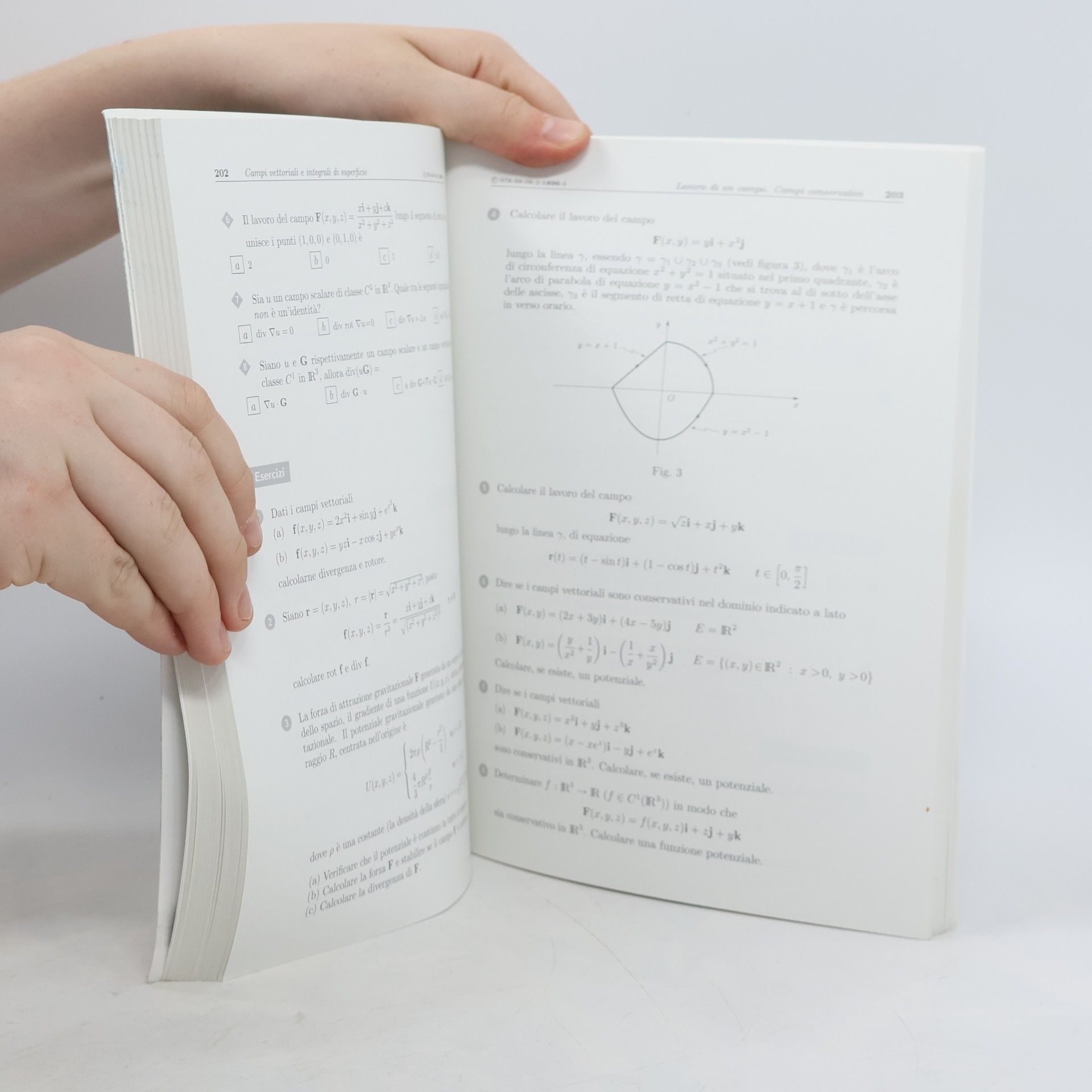 Sandro Salsa Esercizi di Analisi matematica