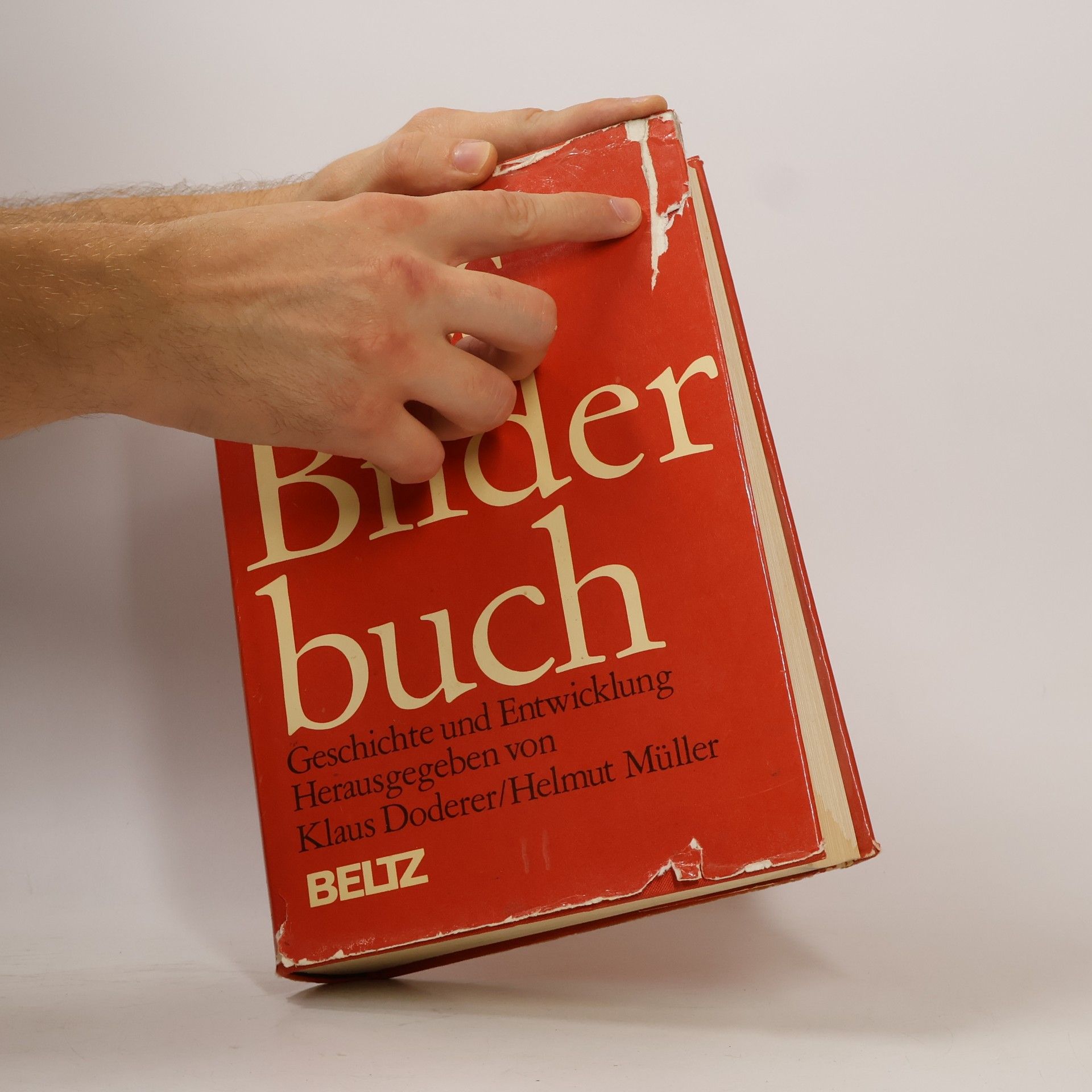 Klaus Doderer Das Bilderbuch