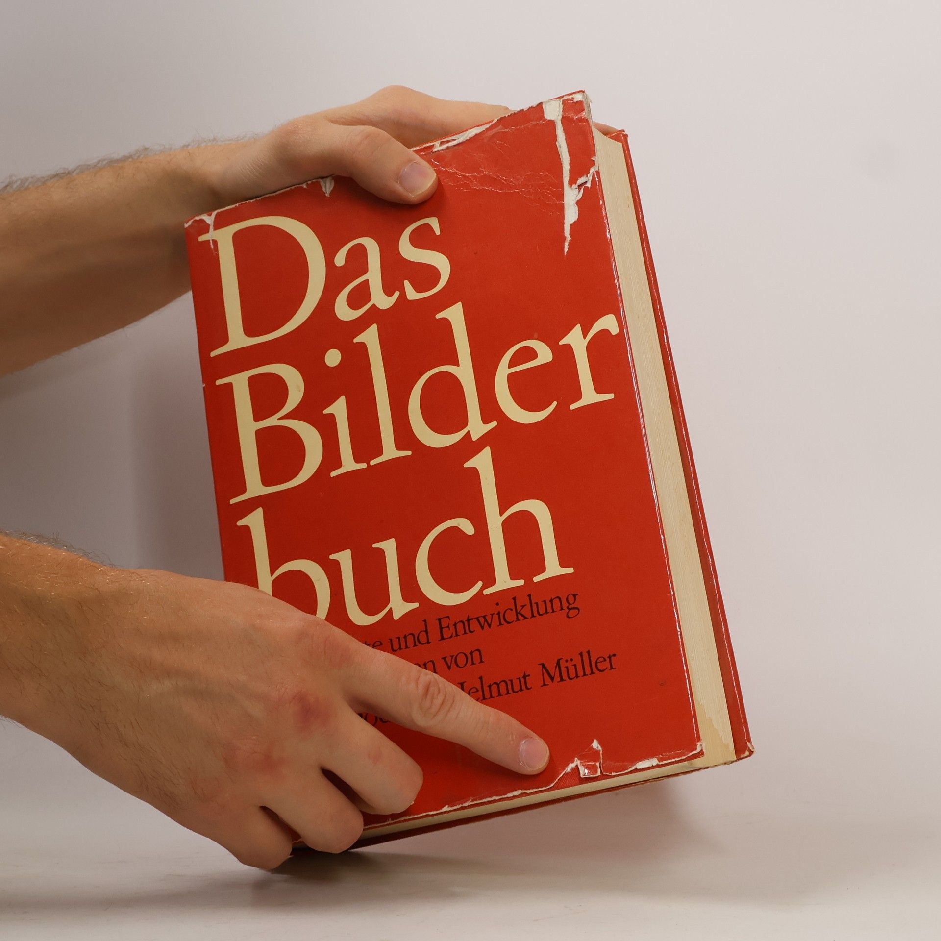 Klaus Doderer Das Bilderbuch