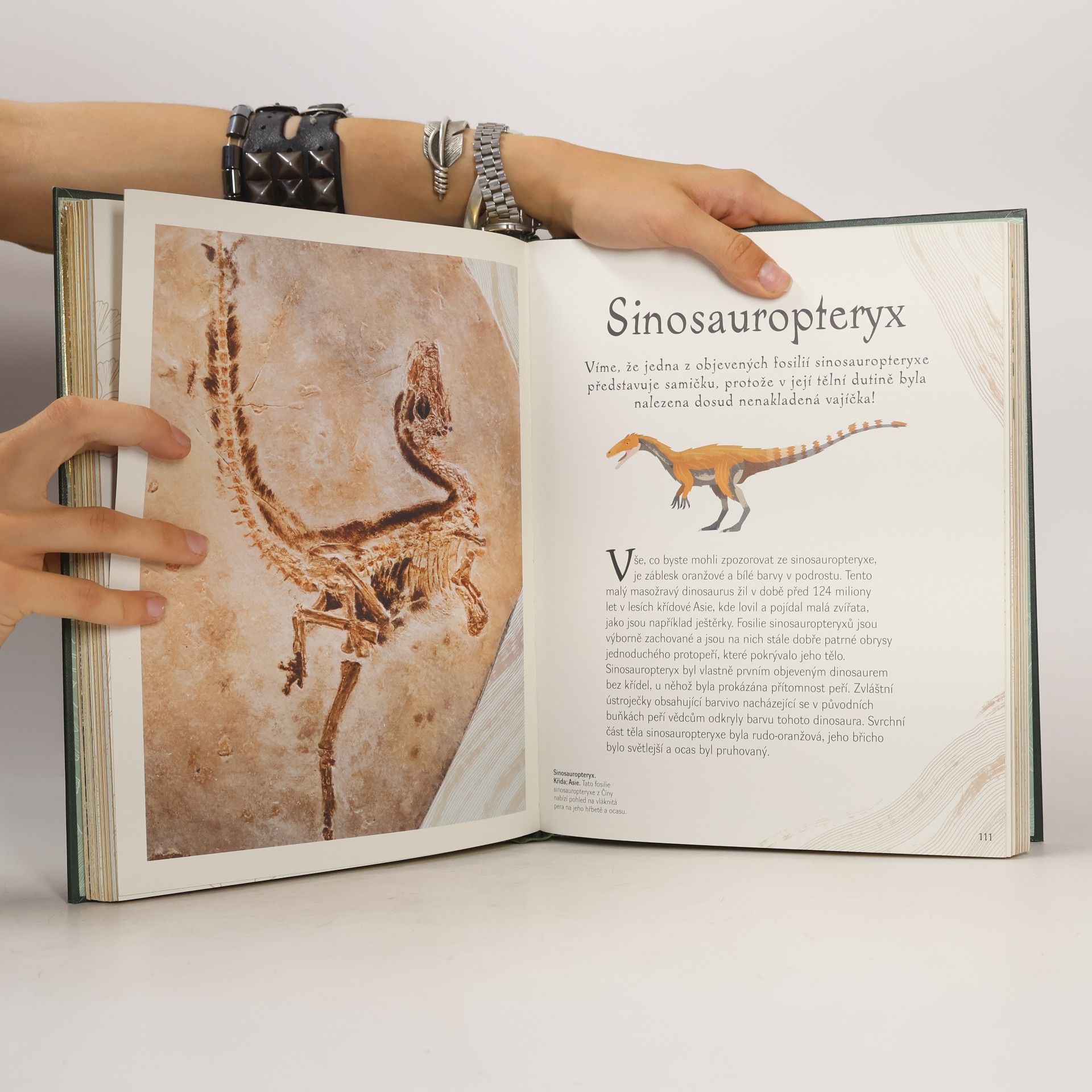Anusuya ChinsamyTuran Dinosauři a pravěký život