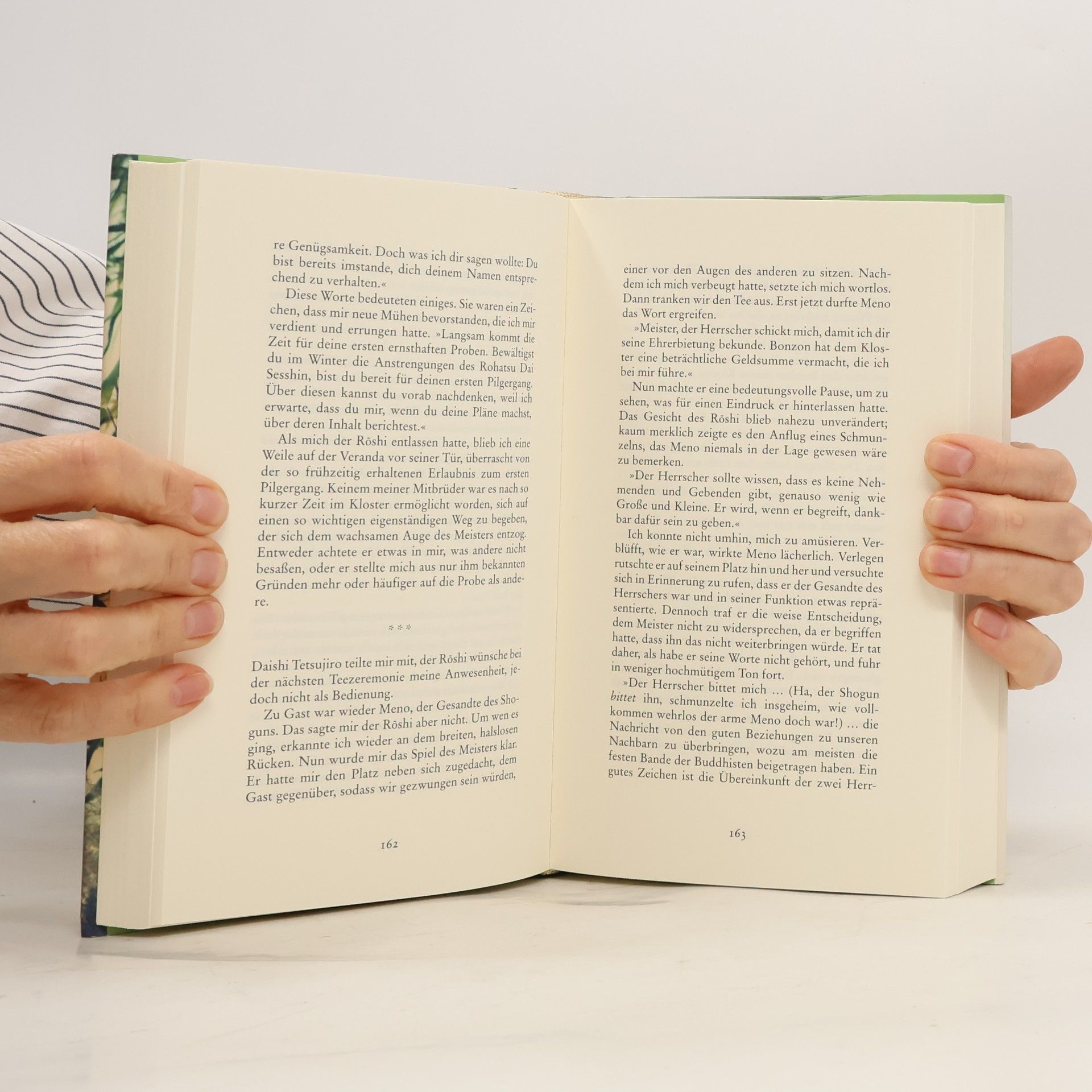 Vladislav Bajac Das Buch vom Bambus