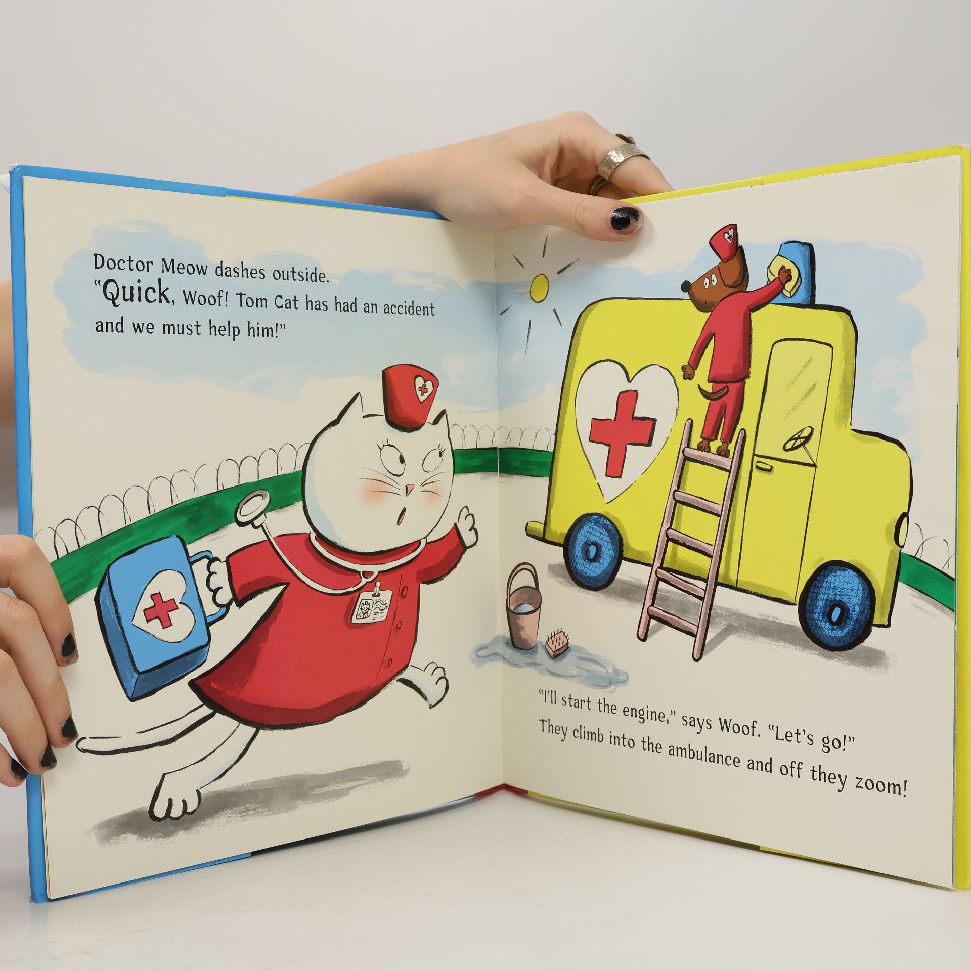 Stephen Lloyd Jones Doctor Meow's Big Emergency