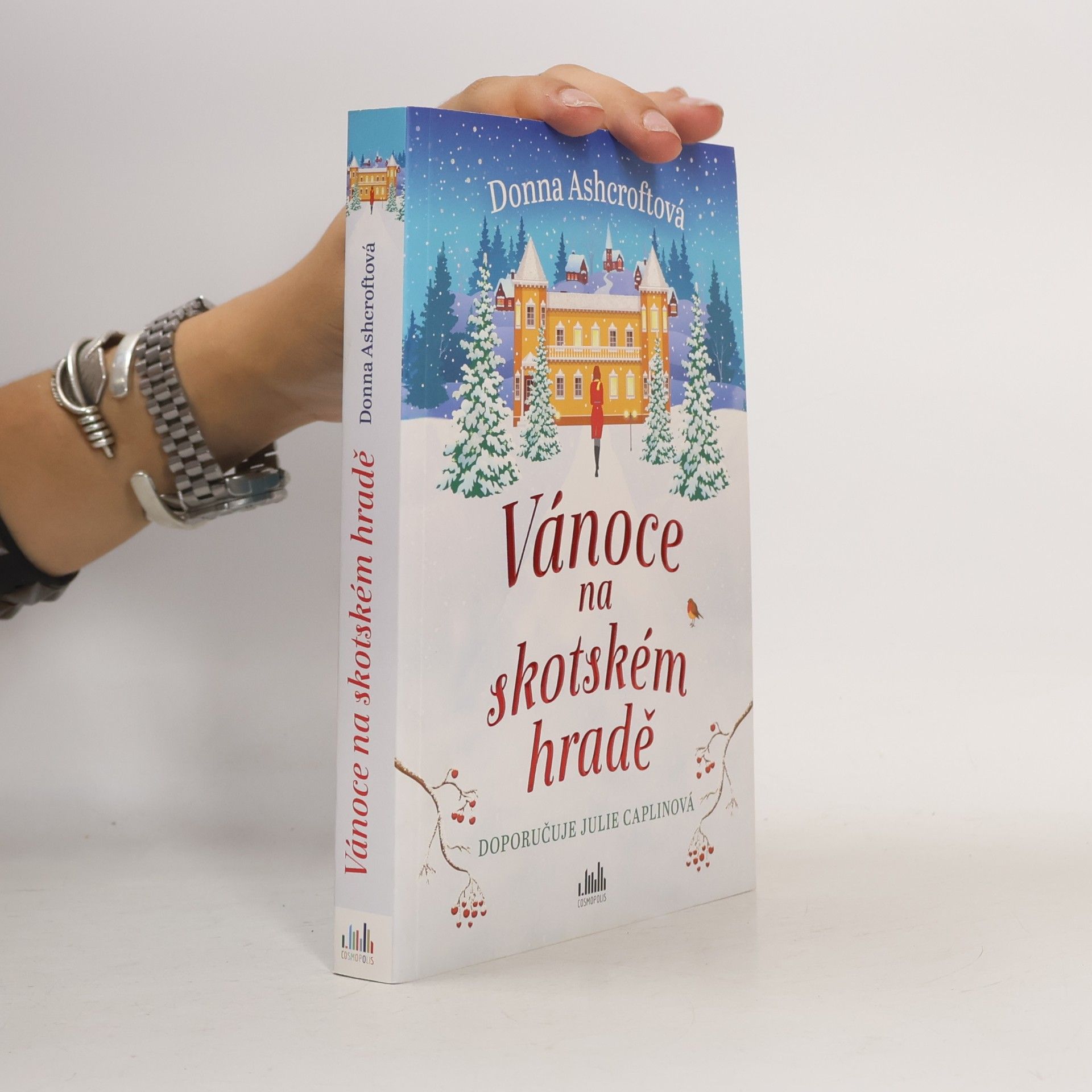 Donna Ashcroft Vánoce na skotském hradě