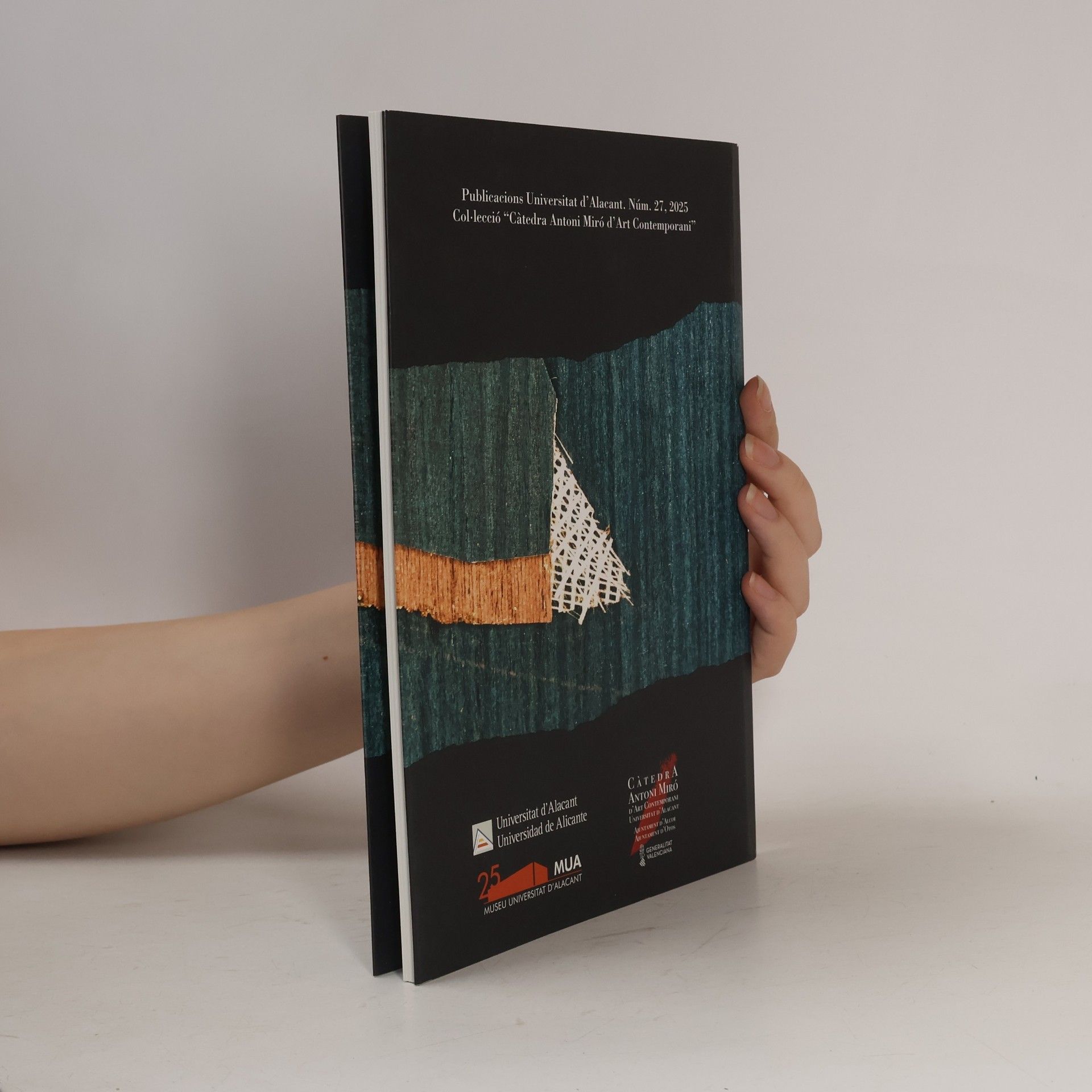 Claudia Pastomàs Càtedra Antoni Miró d'Art Contemporani - 27: La cruesa de la seva exposició
