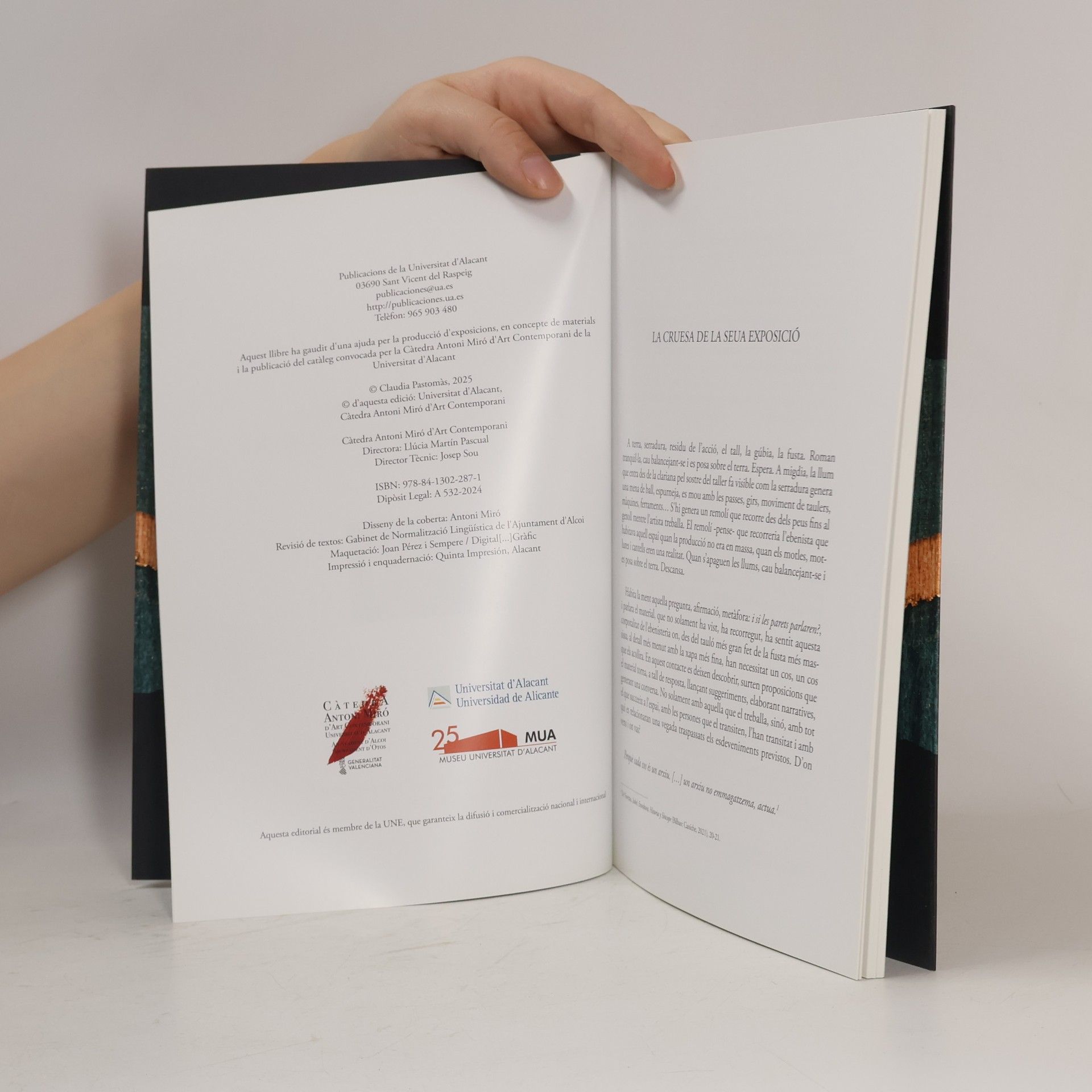 Claudia Pastomàs Càtedra Antoni Miró d'Art Contemporani - 27: La cruesa de la seva exposició