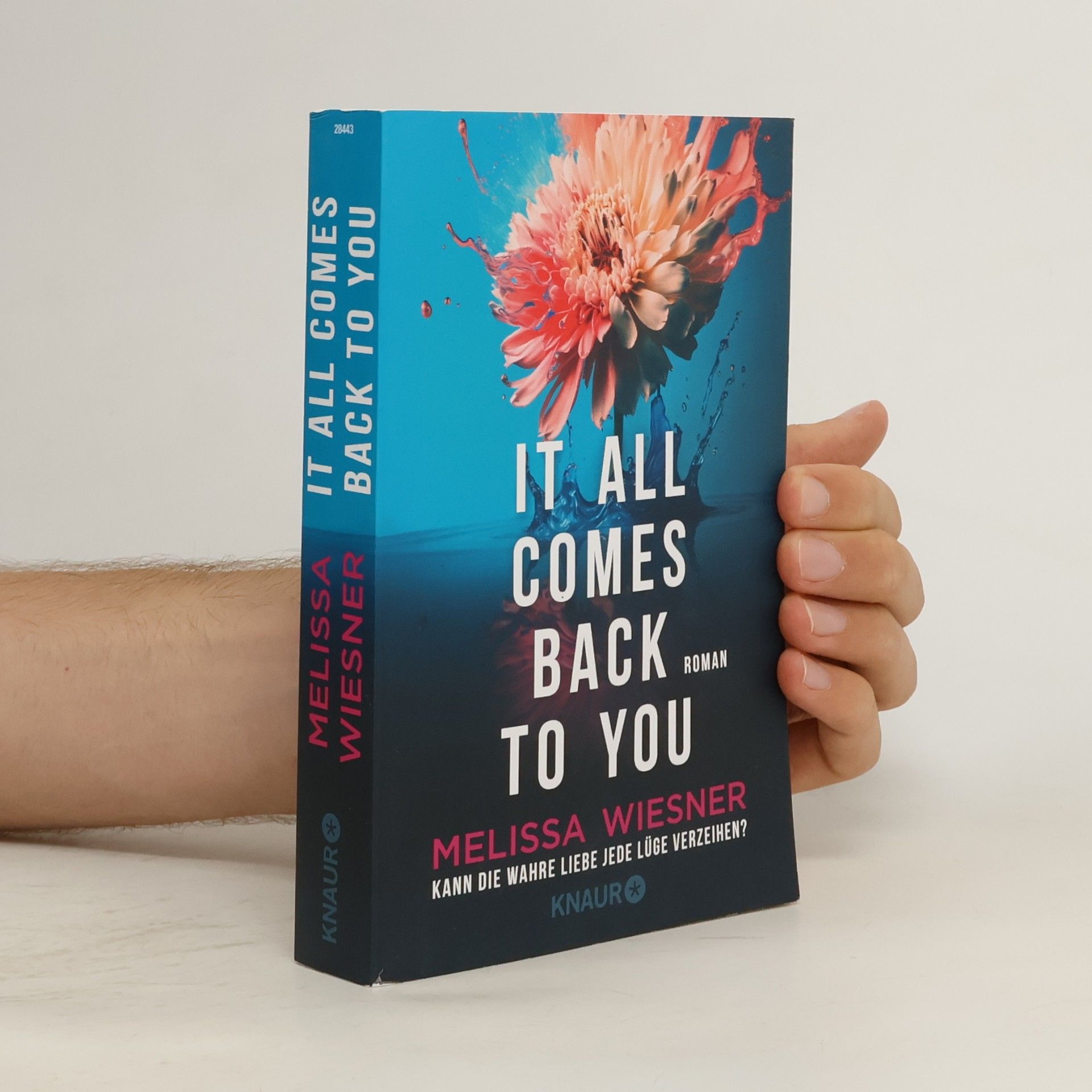 Melissa Wiesner It all comes back to you - Kann die wahre Liebe jede Lüge verzeihen?
