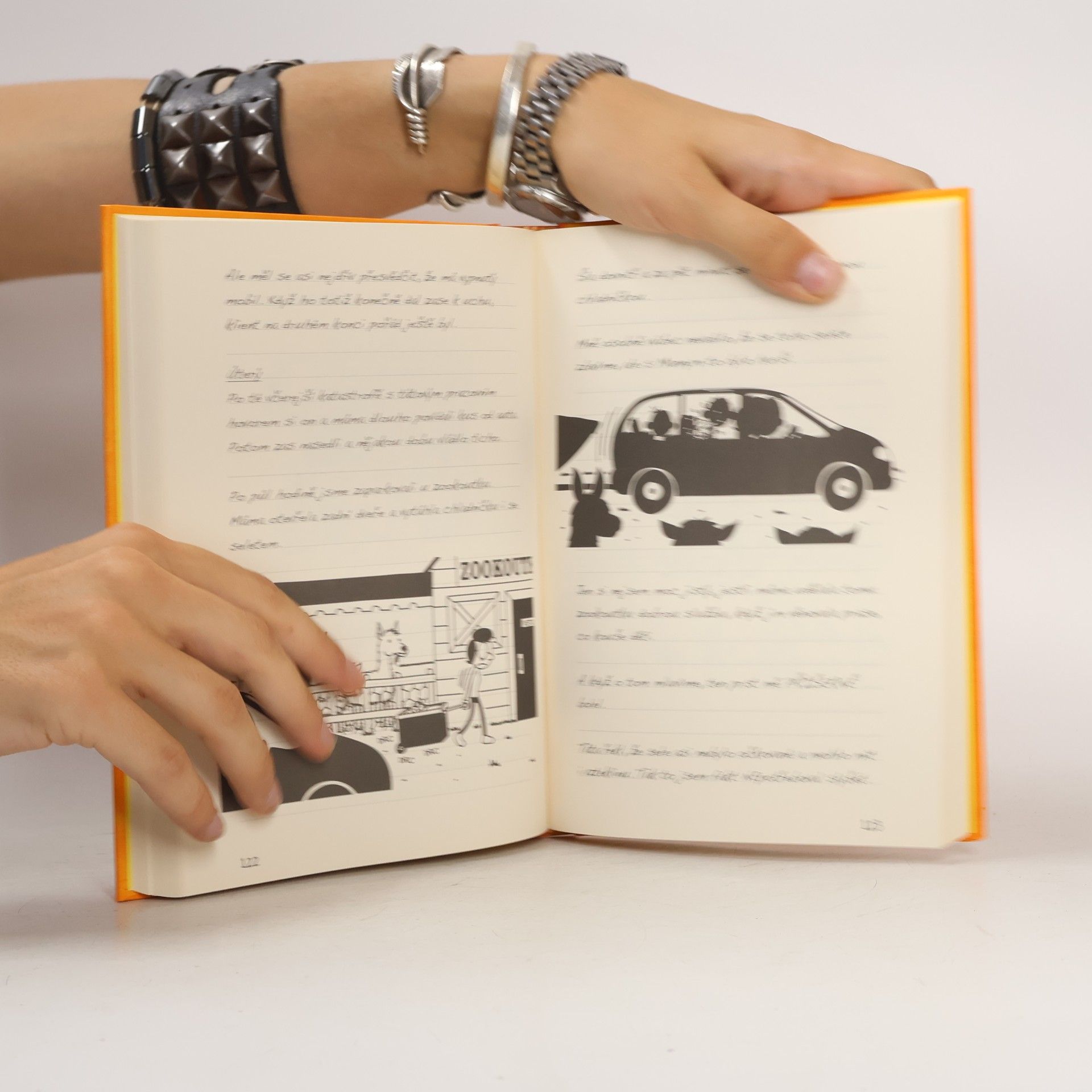 Jeff Kinney Deník malého poseroutky 9. Výlet za všechny peníze