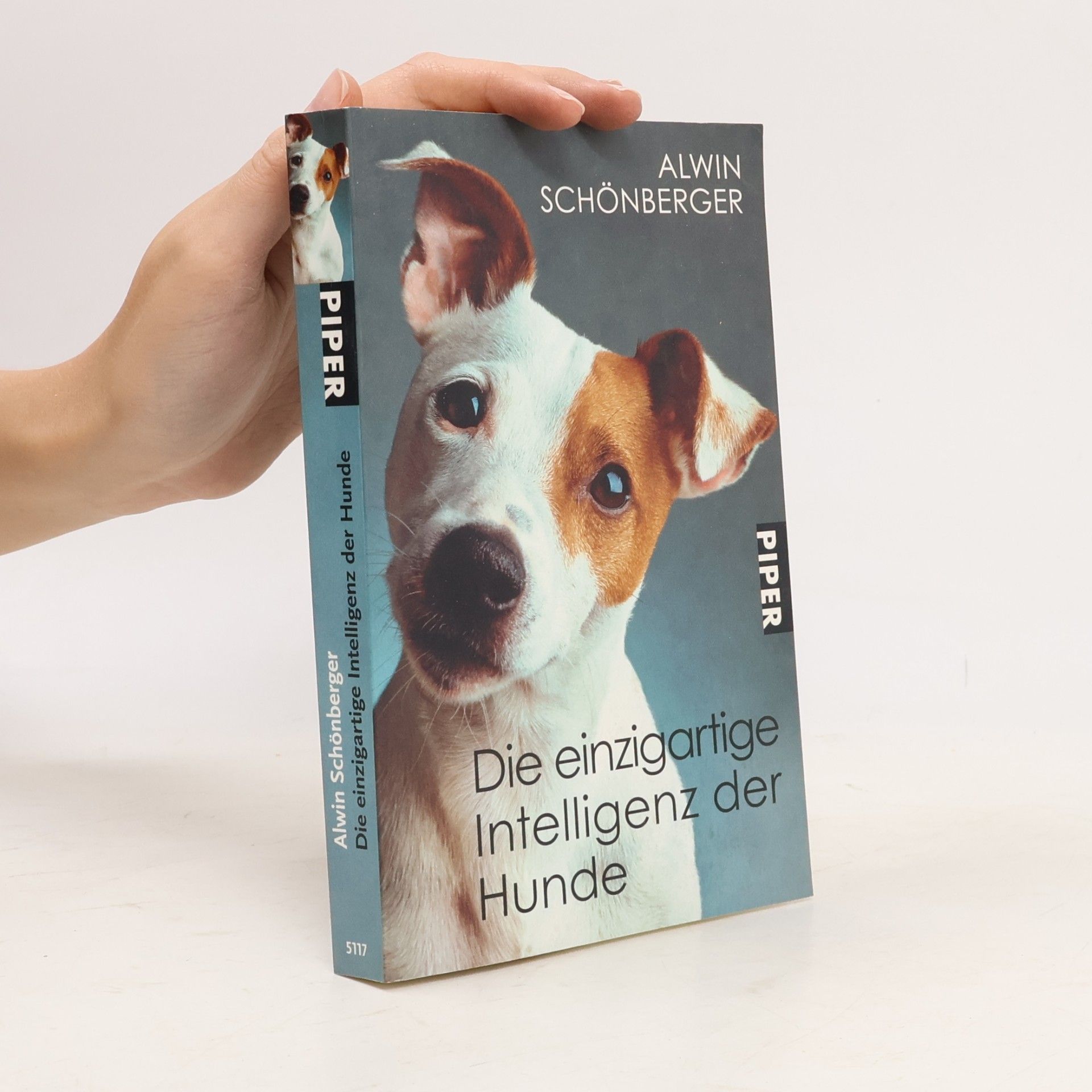 Die einzigartige Intelligenz der Hunde