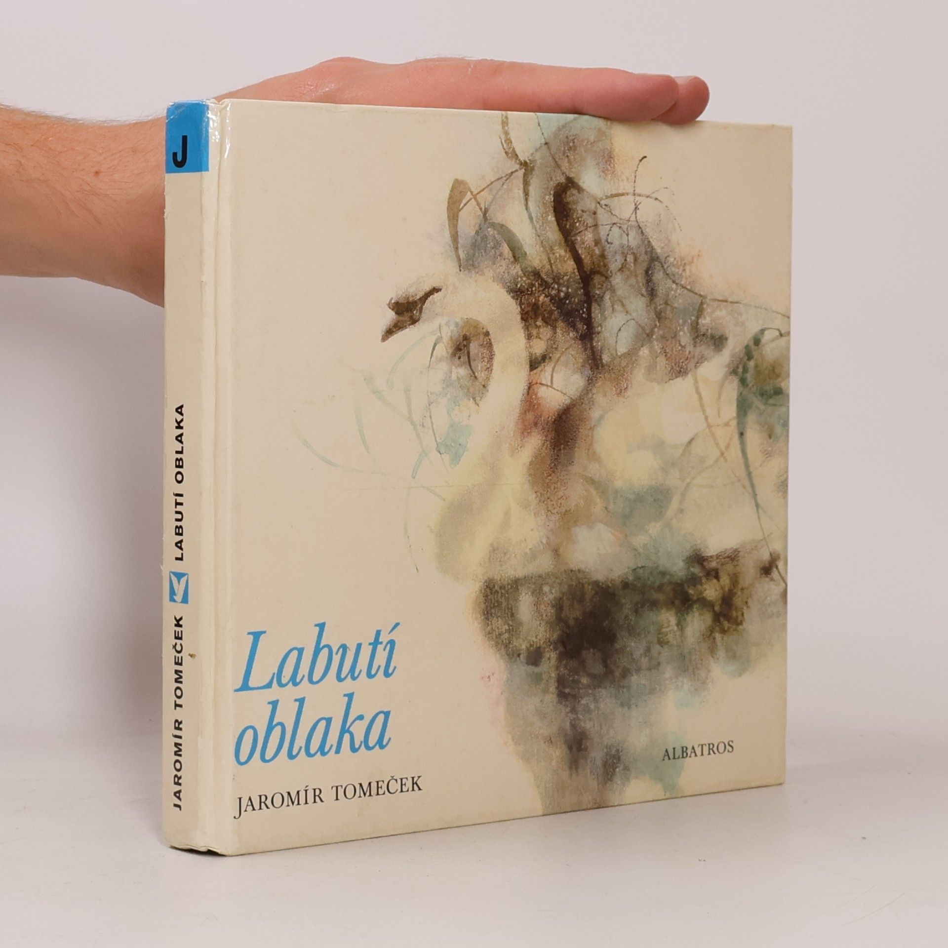 Labutí oblaka. Sága o luhu
