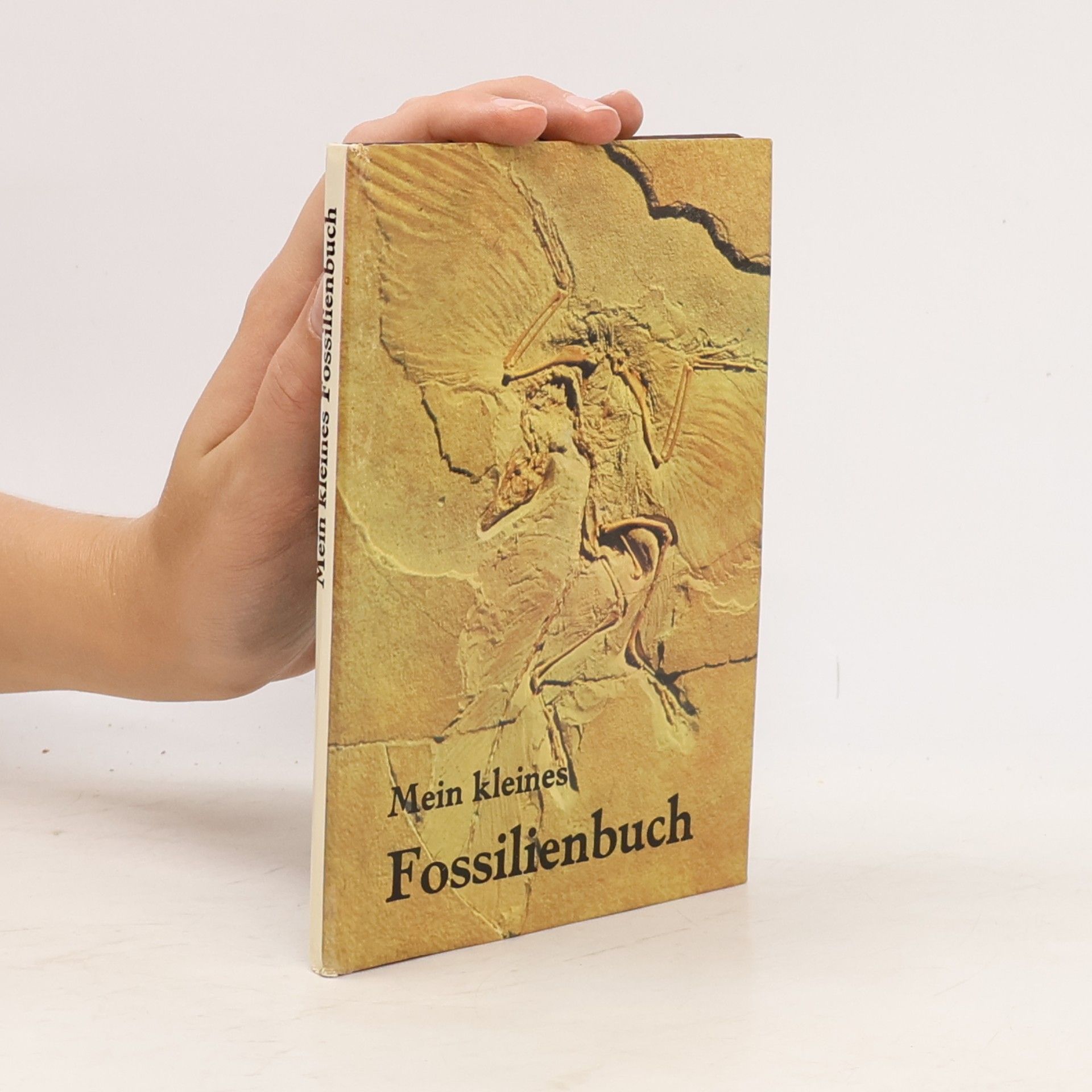 Rudolf Daber Mein kleines Fossilienbuch