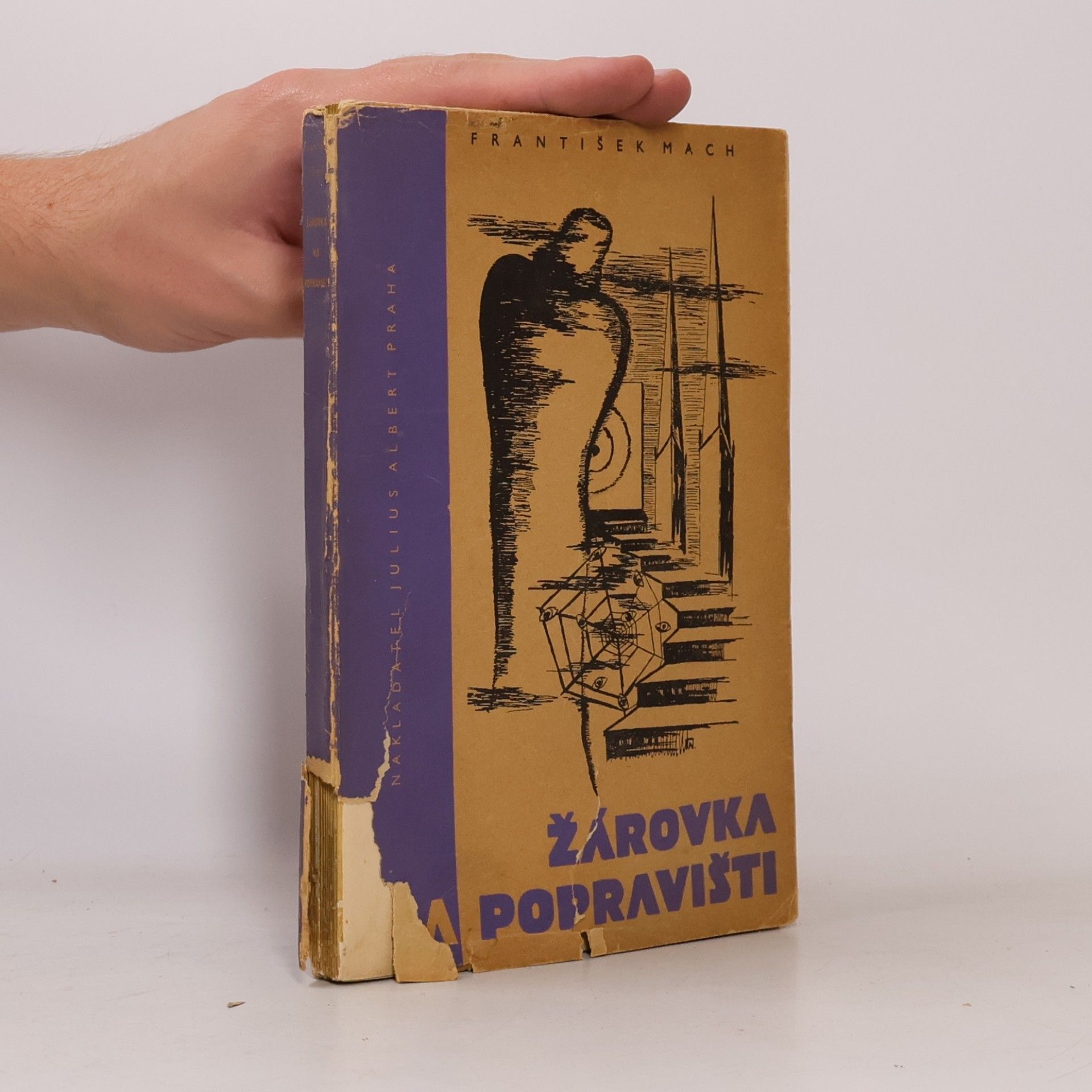 František Mach Žárovka na popravišti