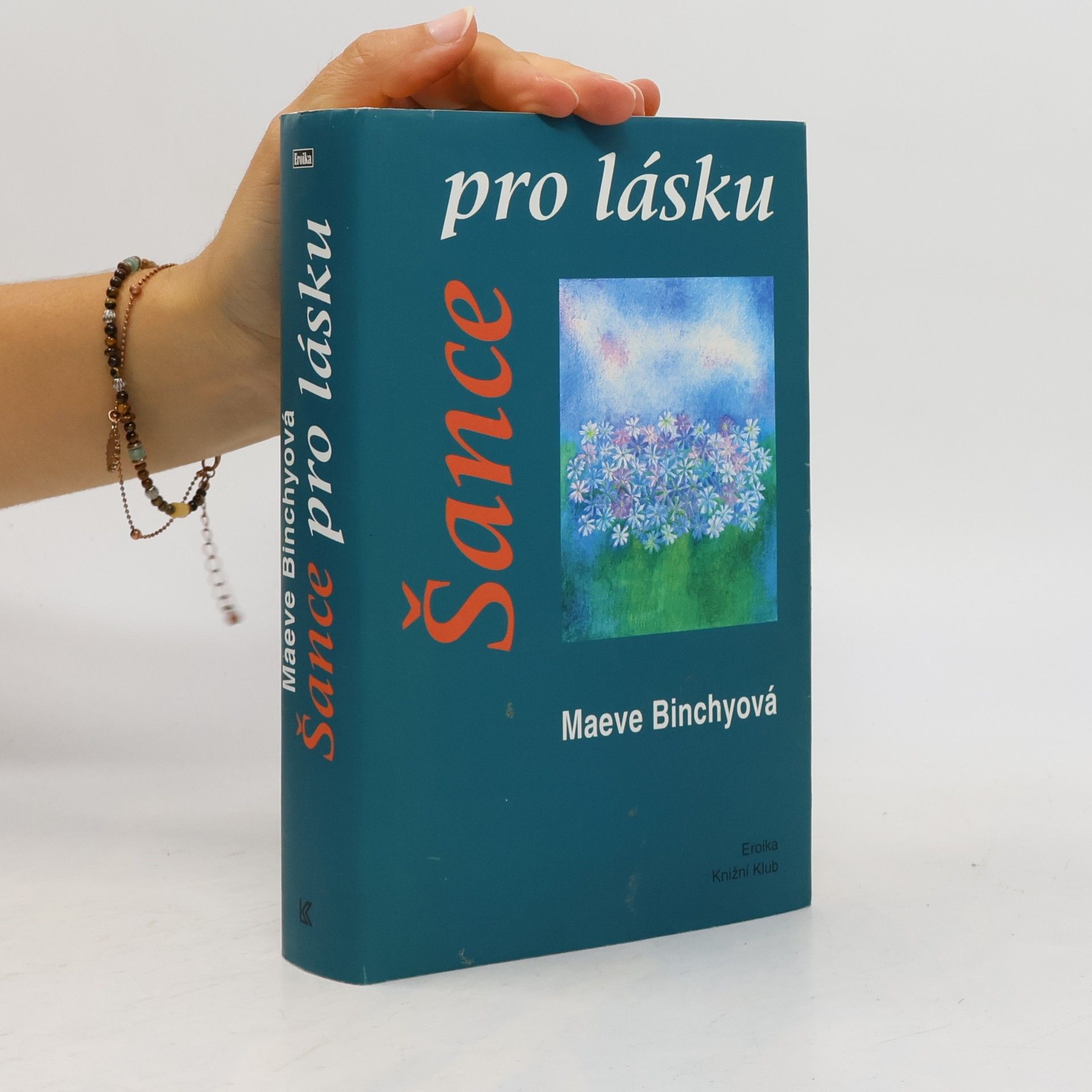 Maeve Binchy Šance pro lásku