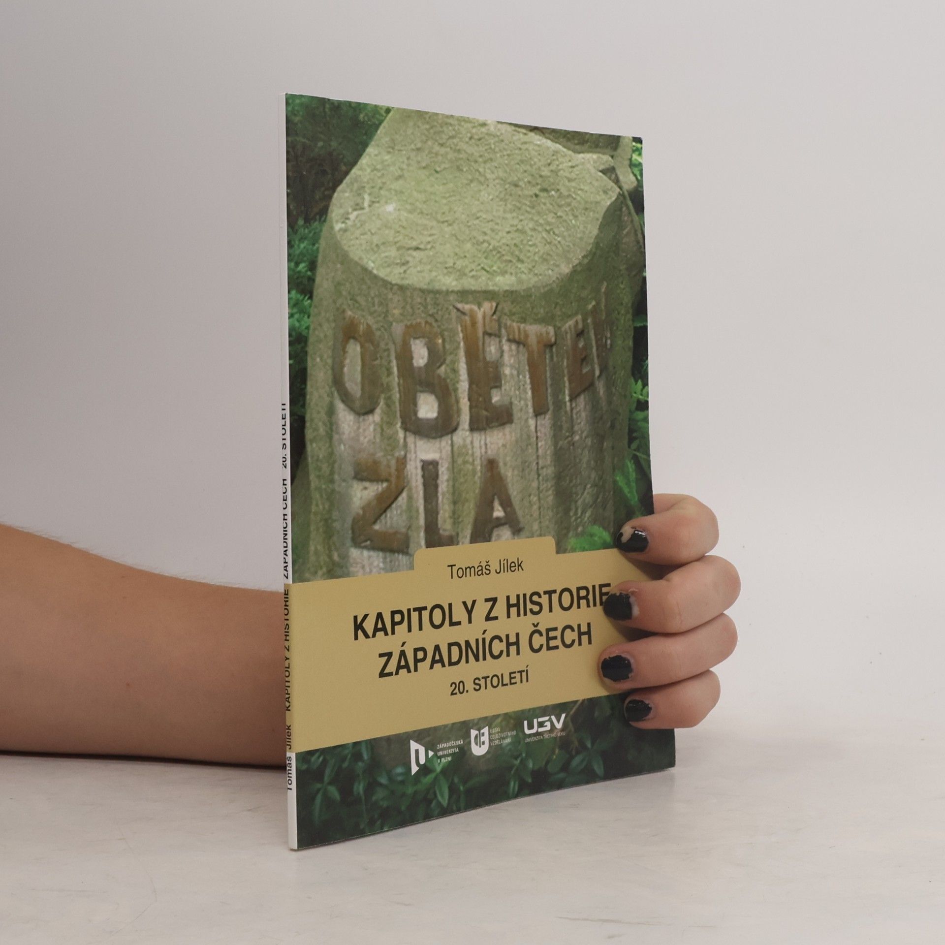 Kapitoly z historie západních Čech 20. století