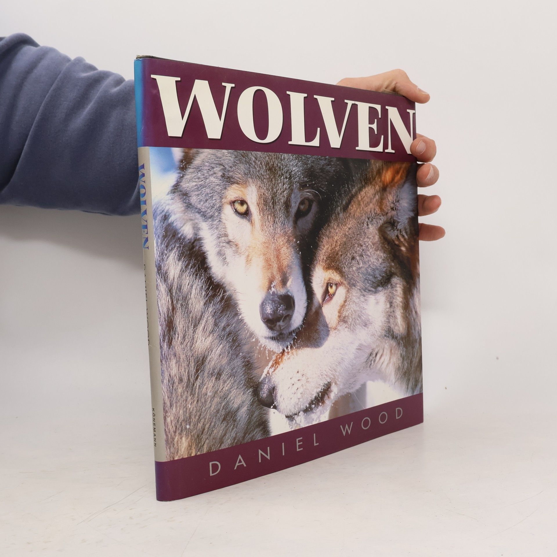 Daniel Wood Wolven