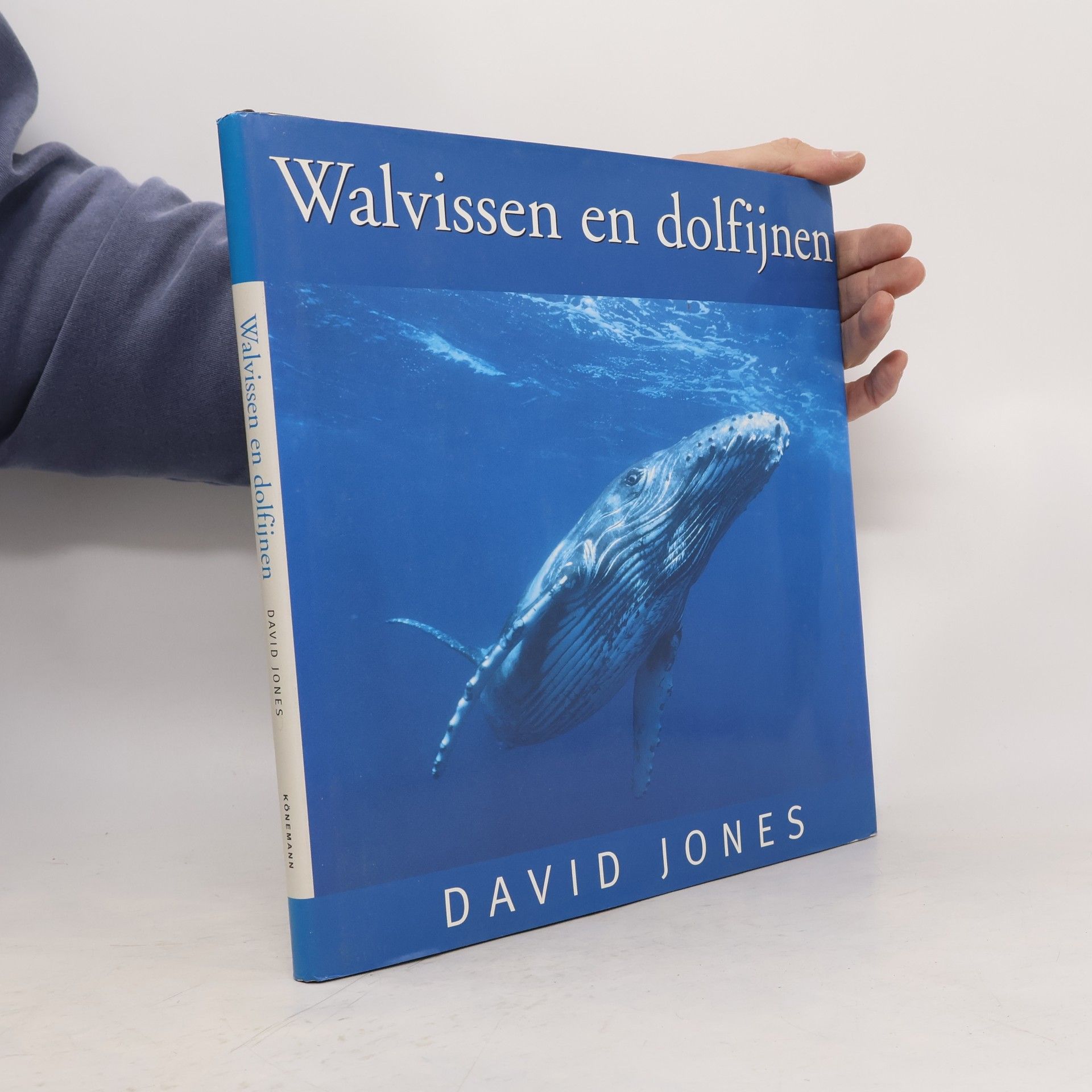 Walvissen en dofijnen