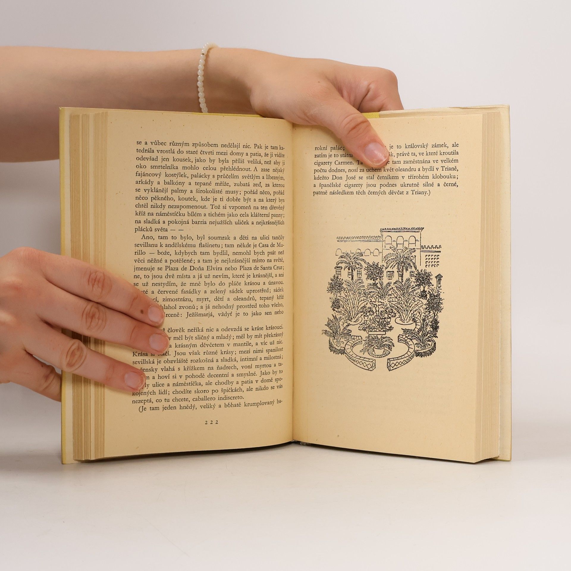 Karel Čapek Dílo bratří Čapků. Italské listy. Anglické listy. Výlet do Španěl. Obrázky z Holandska