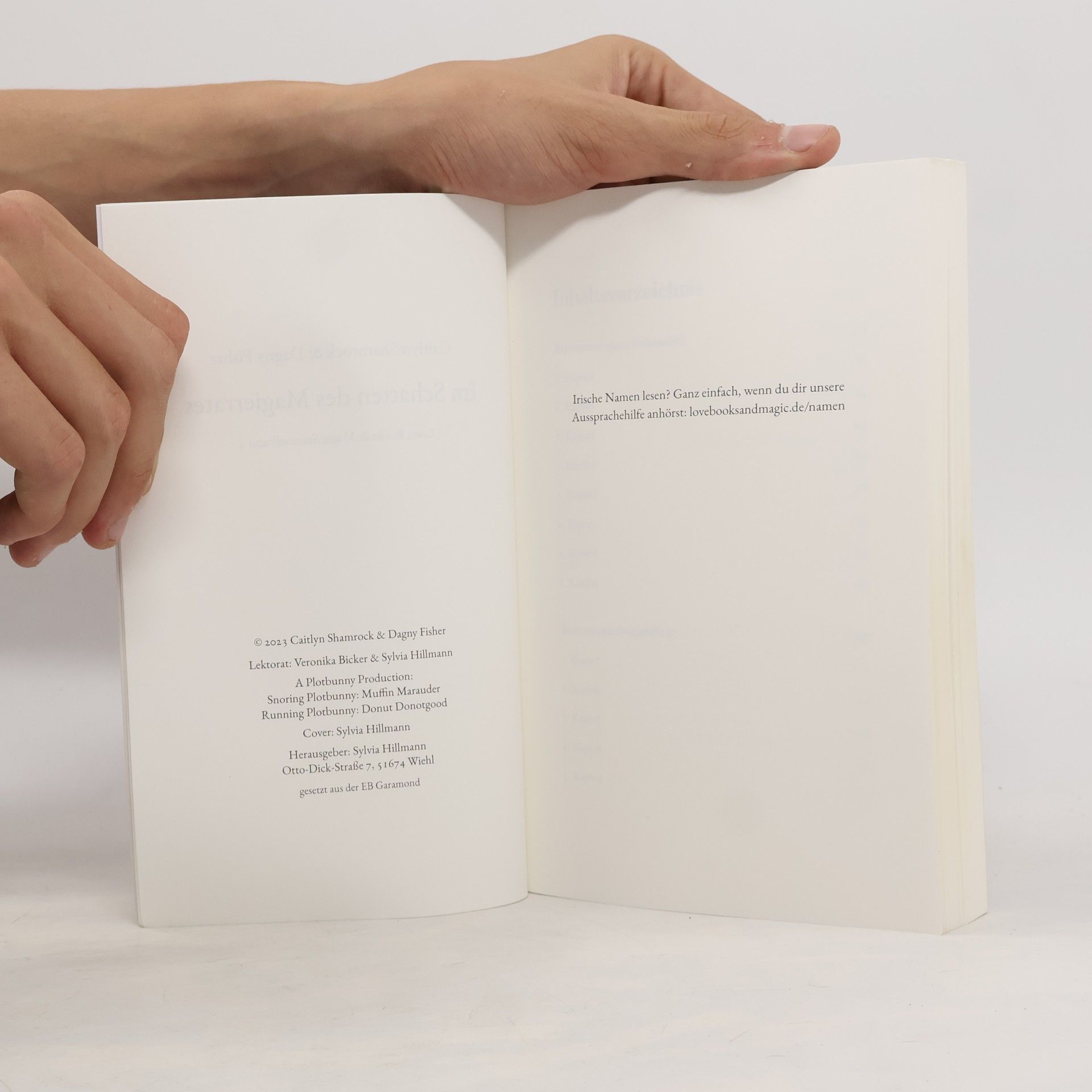 Dagny Fisher Love, Books & Magic - 4: Im Schatten des Magierrates