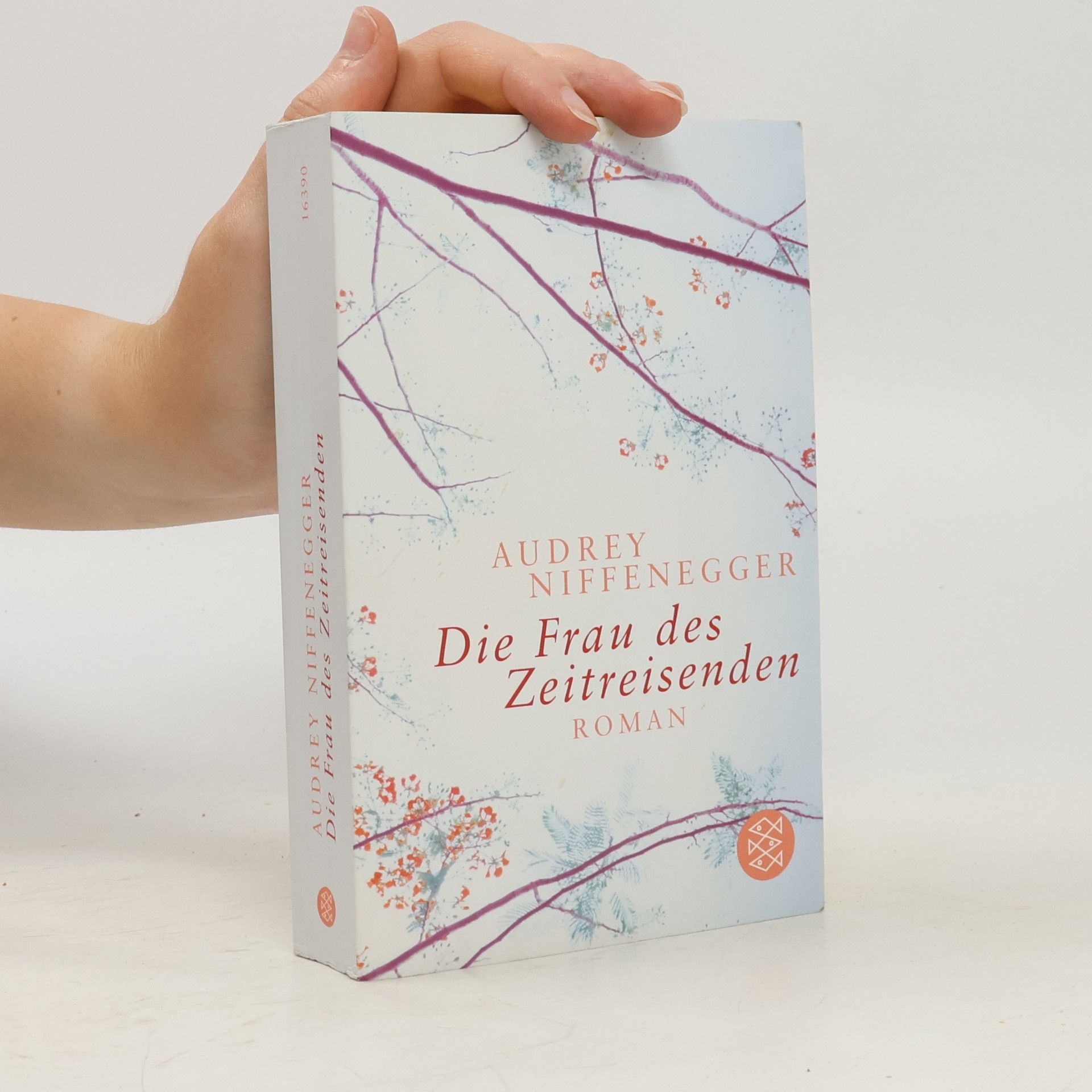 Audrey Niffenegger Die Frau des Zeitreisenden