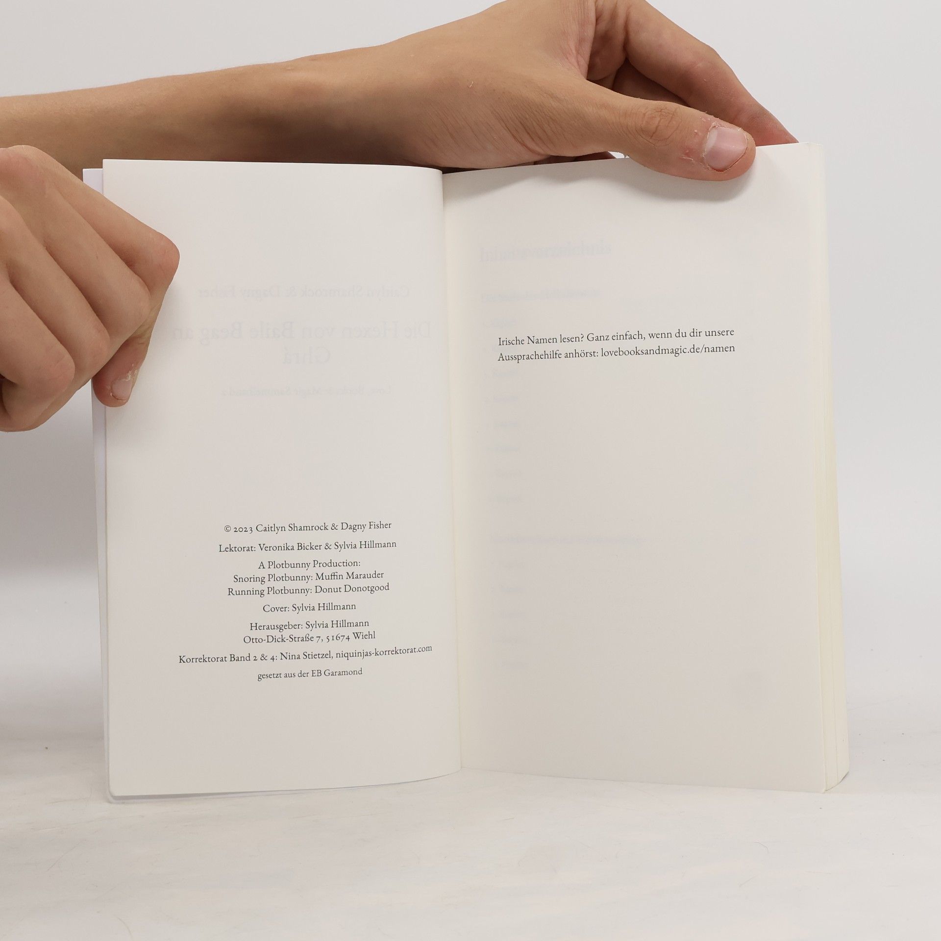 Dagny Fisher Die Hexen von Baile Beag an Ghrá - 2: Love, Books & Magic