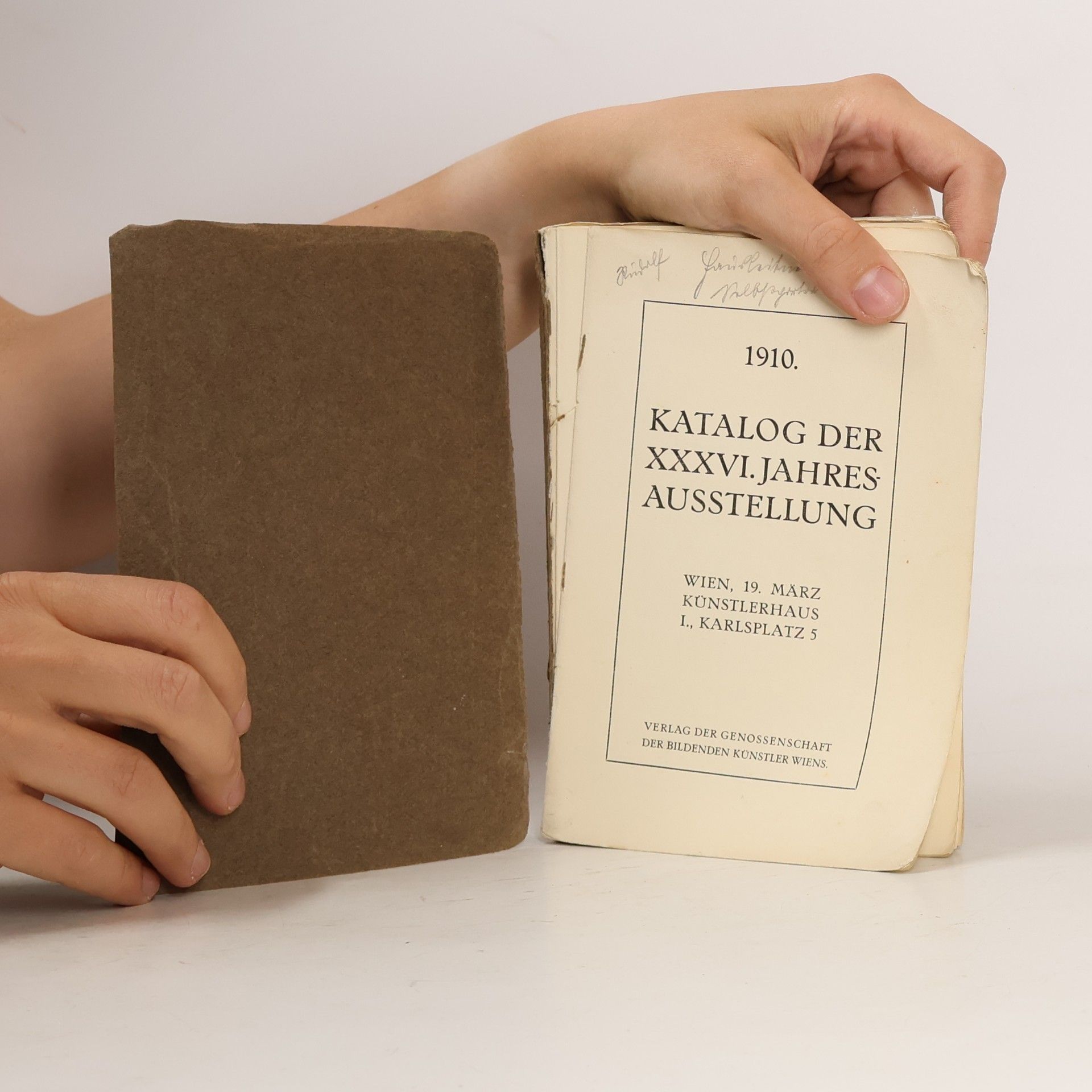 kolektiv Katalog der XXXVI. Jahresausstellung